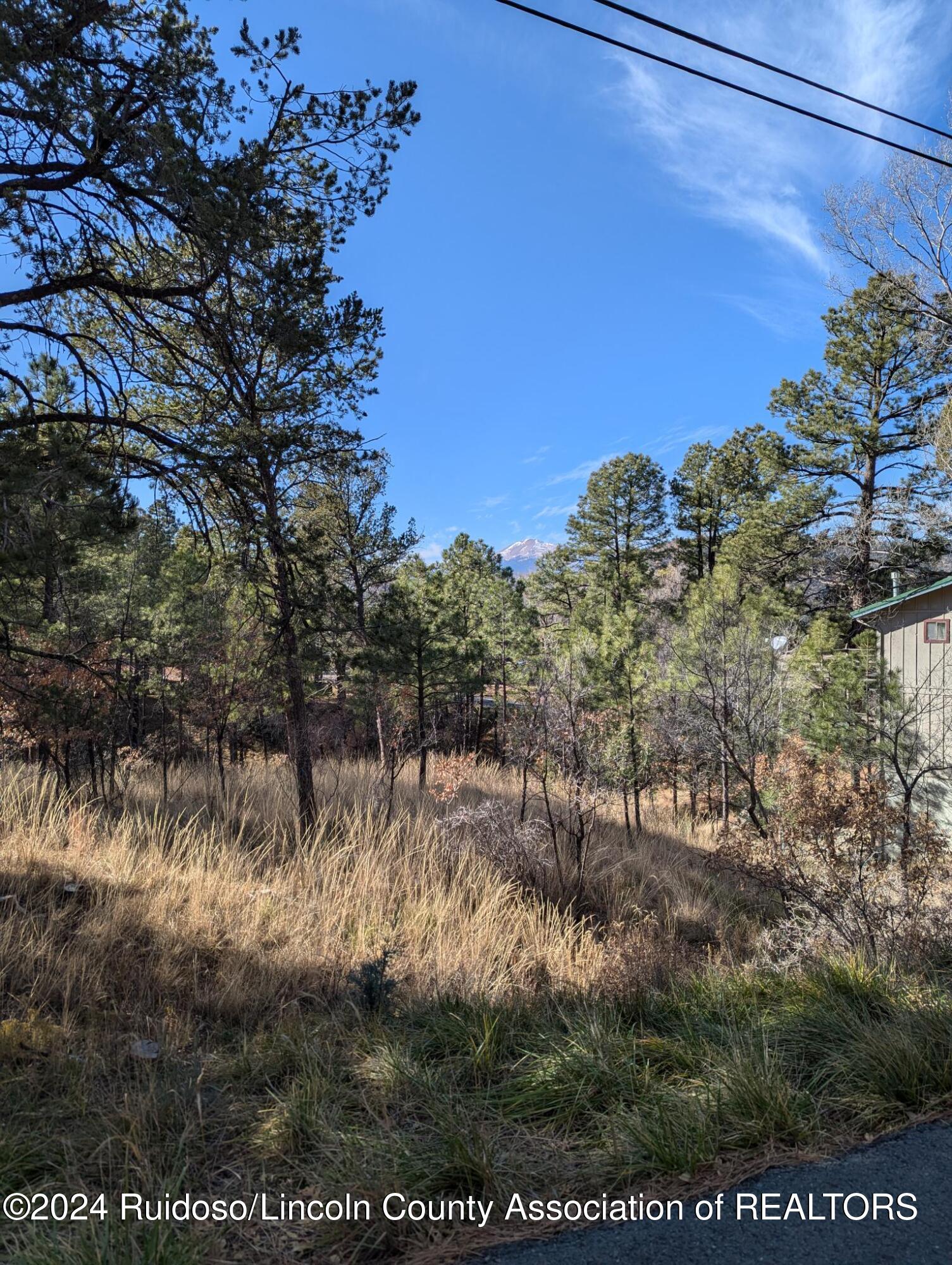 95 Swallow Drive, Ruidoso, New Mexico image 3