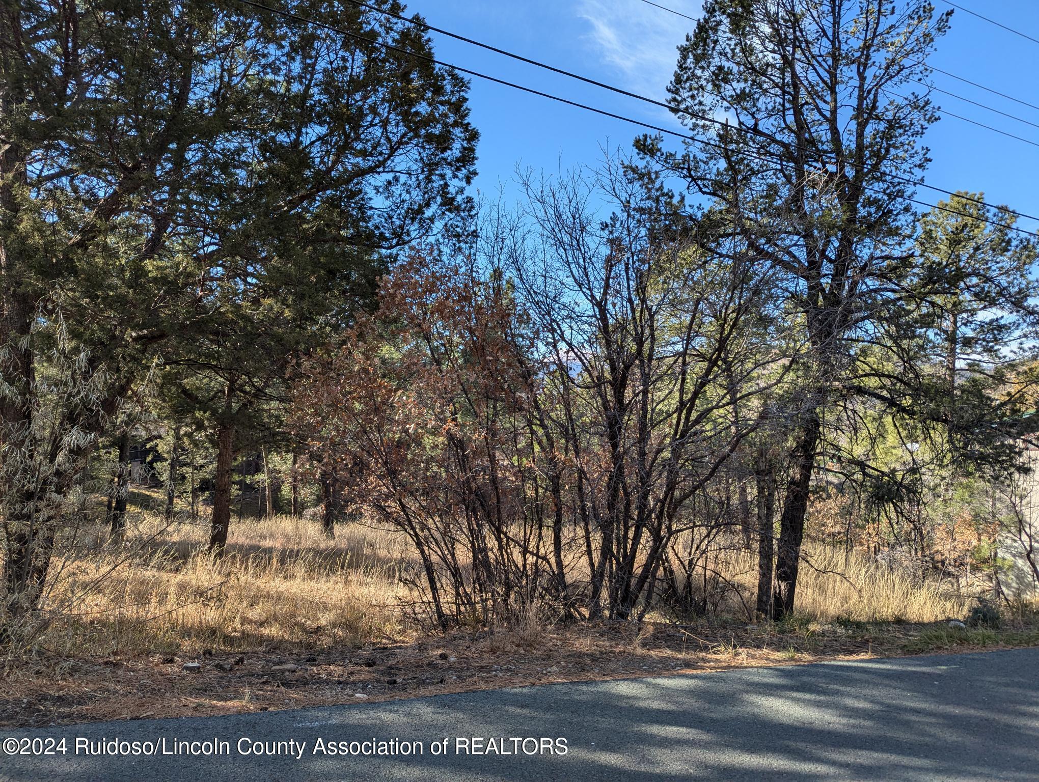 95 Swallow Drive, Ruidoso, New Mexico image 1