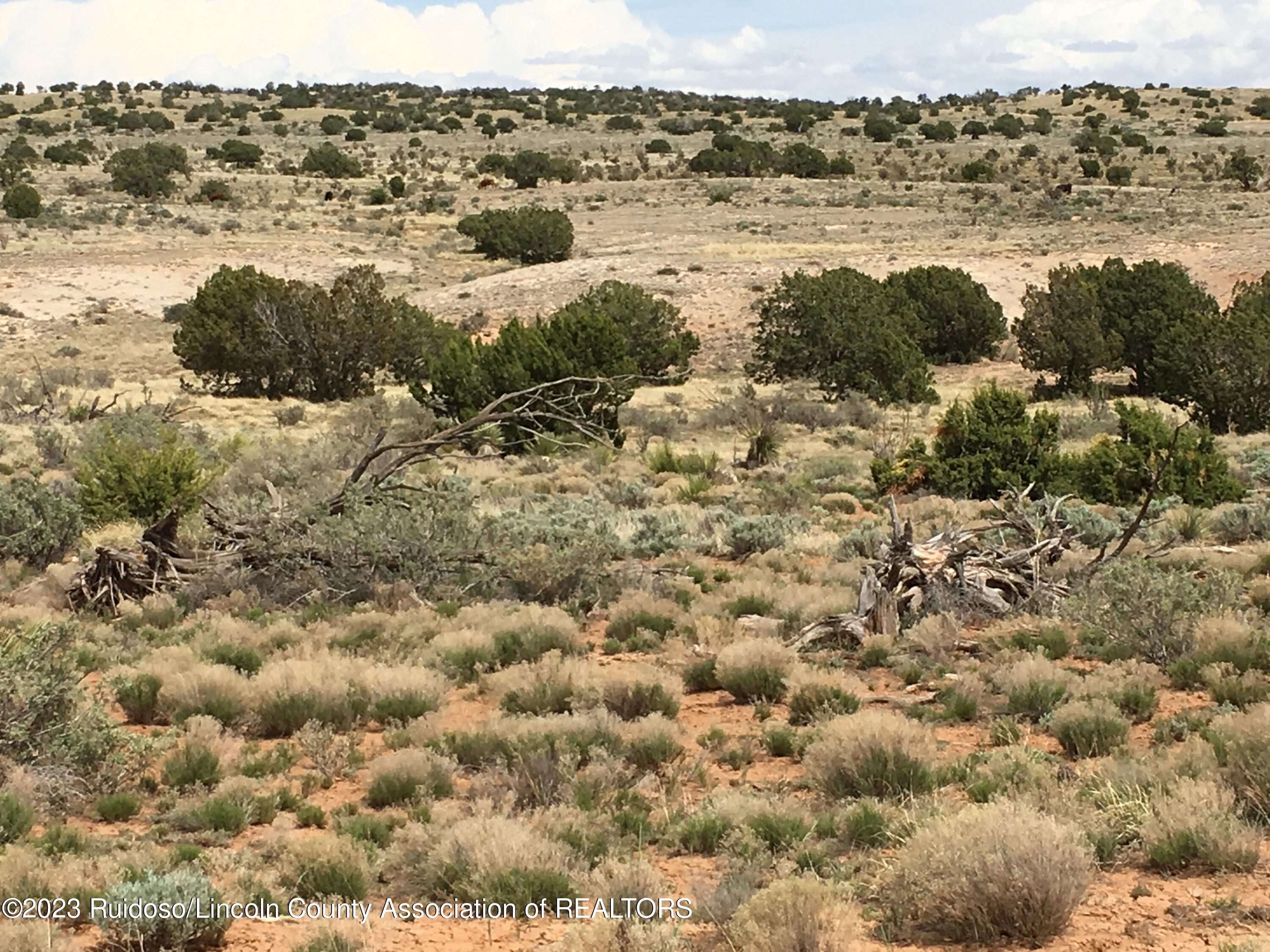 LT. 69 Fenceline Road, Ancho, New Mexico image 6