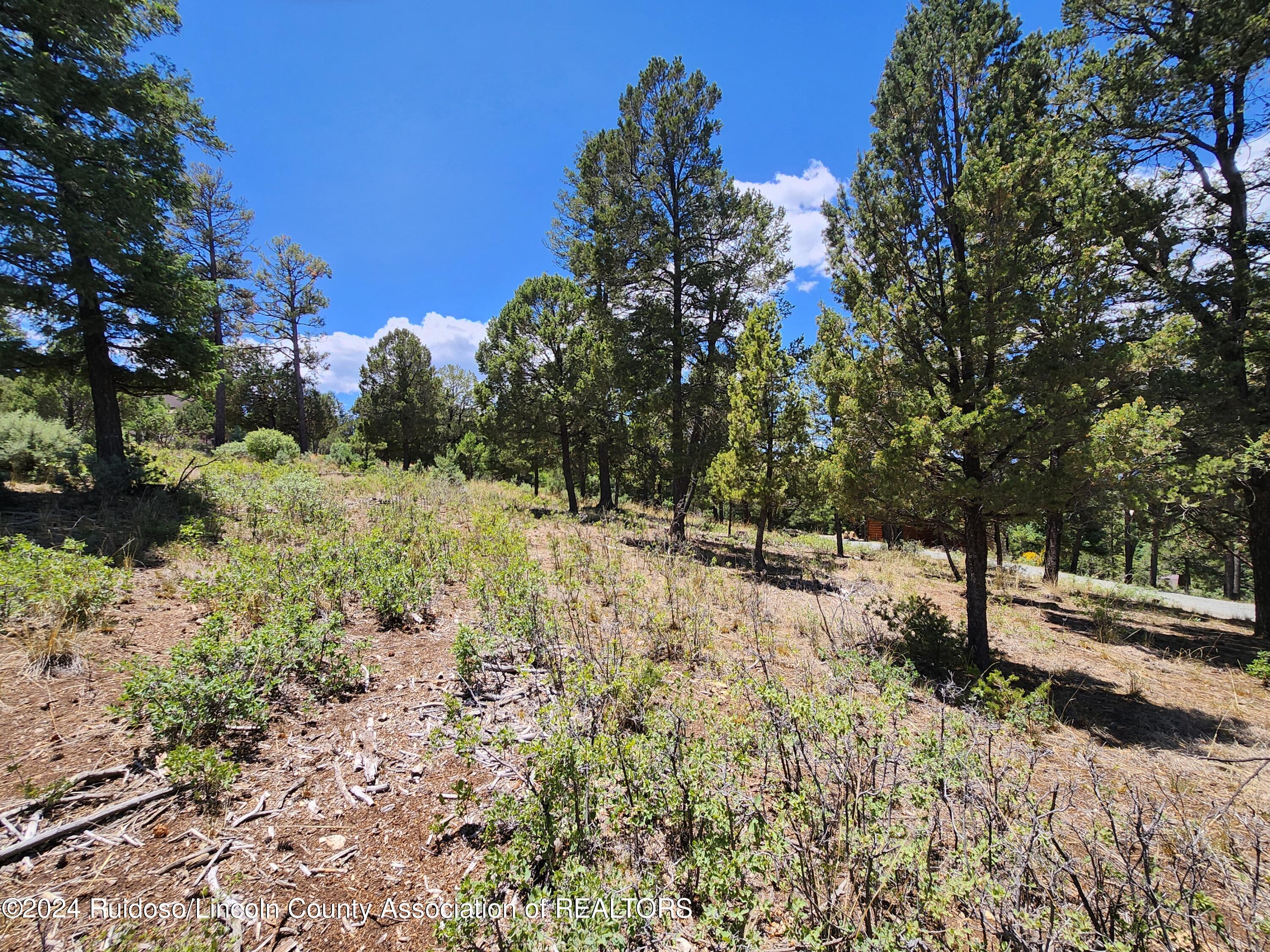 302 Cummings Drive, Ruidoso, New Mexico image 2