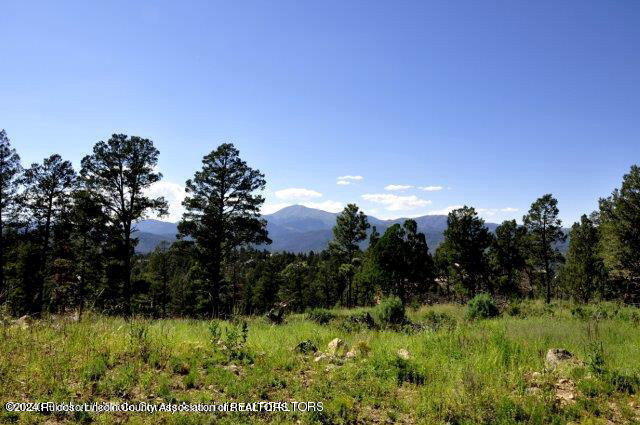 302 Cummings Drive, Ruidoso, New Mexico image 1