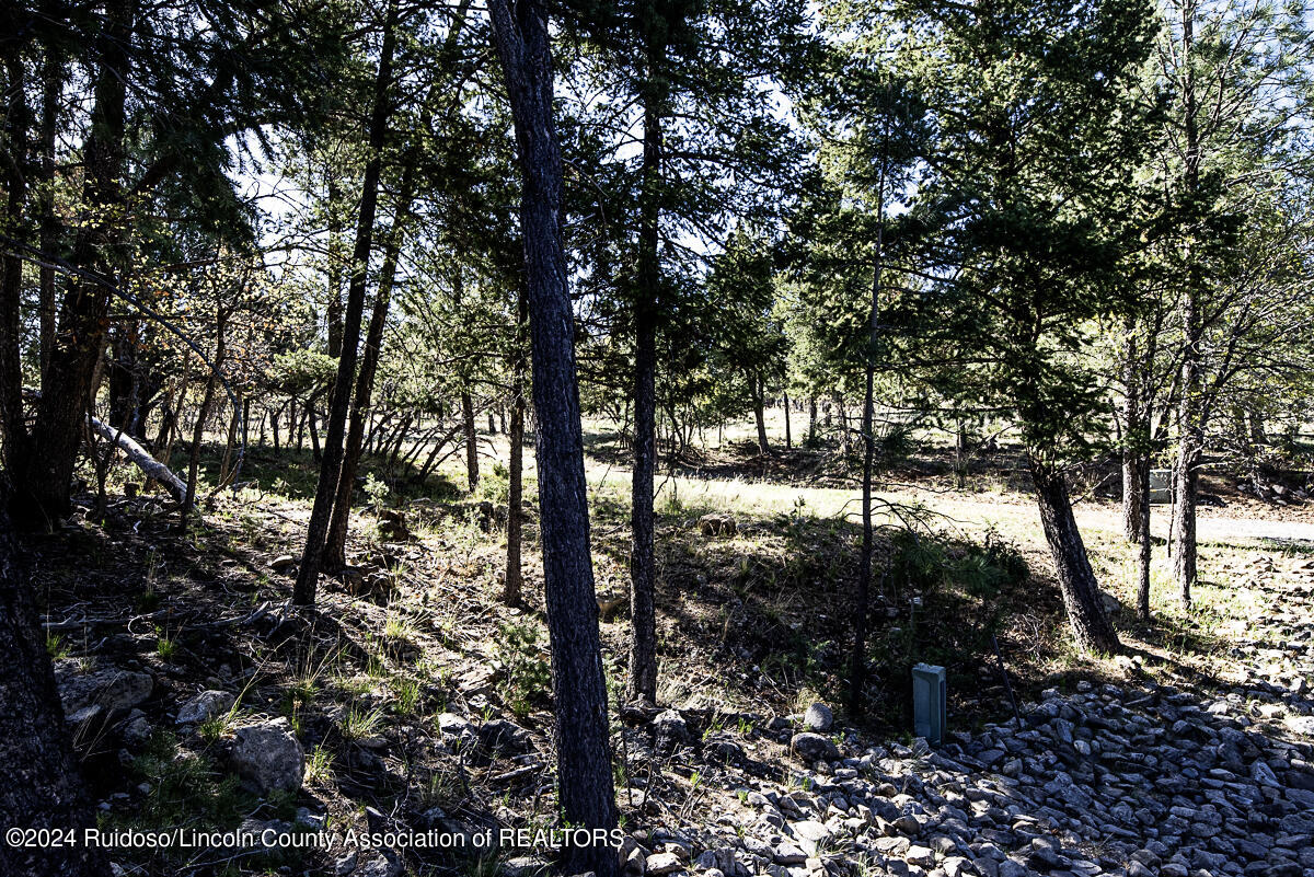 247 Excalibur Road, Ruidoso, New Mexico image 30