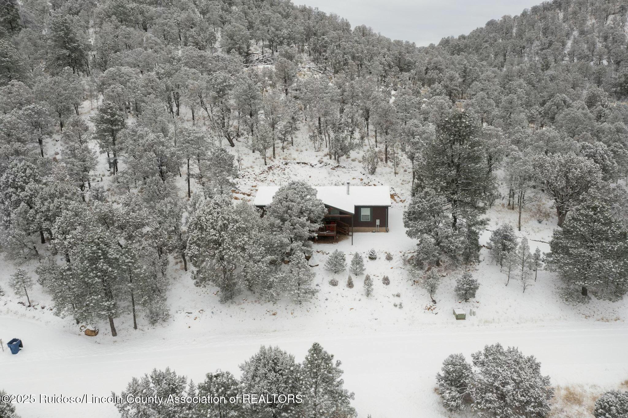 236 Goodnight Loving Trail, Alto, New Mexico image 6