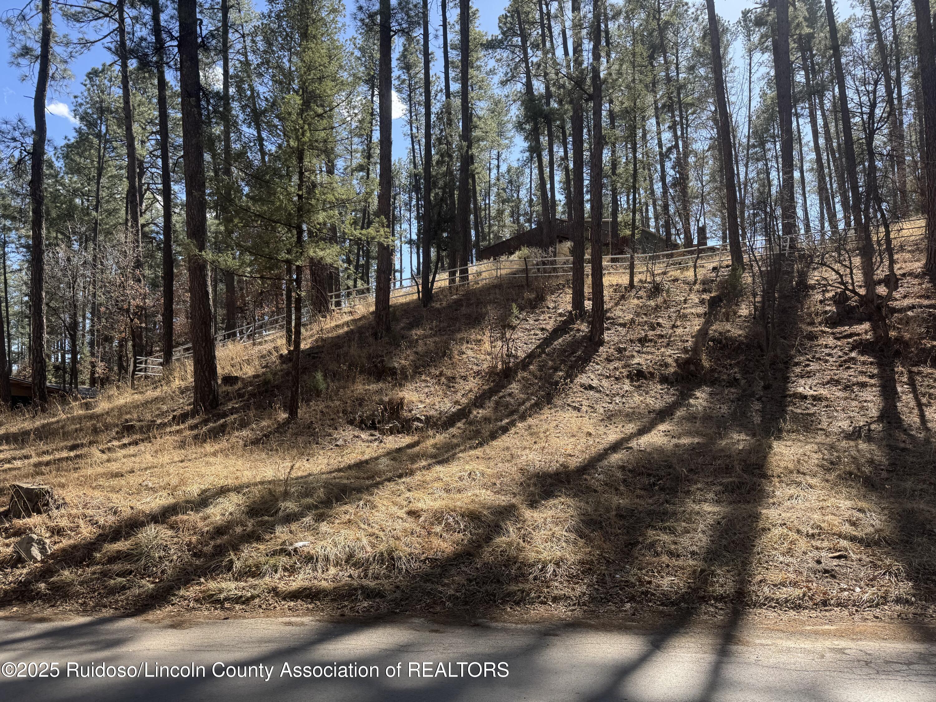 131 Brady Canyon Drive, Ruidoso, New Mexico image 3
