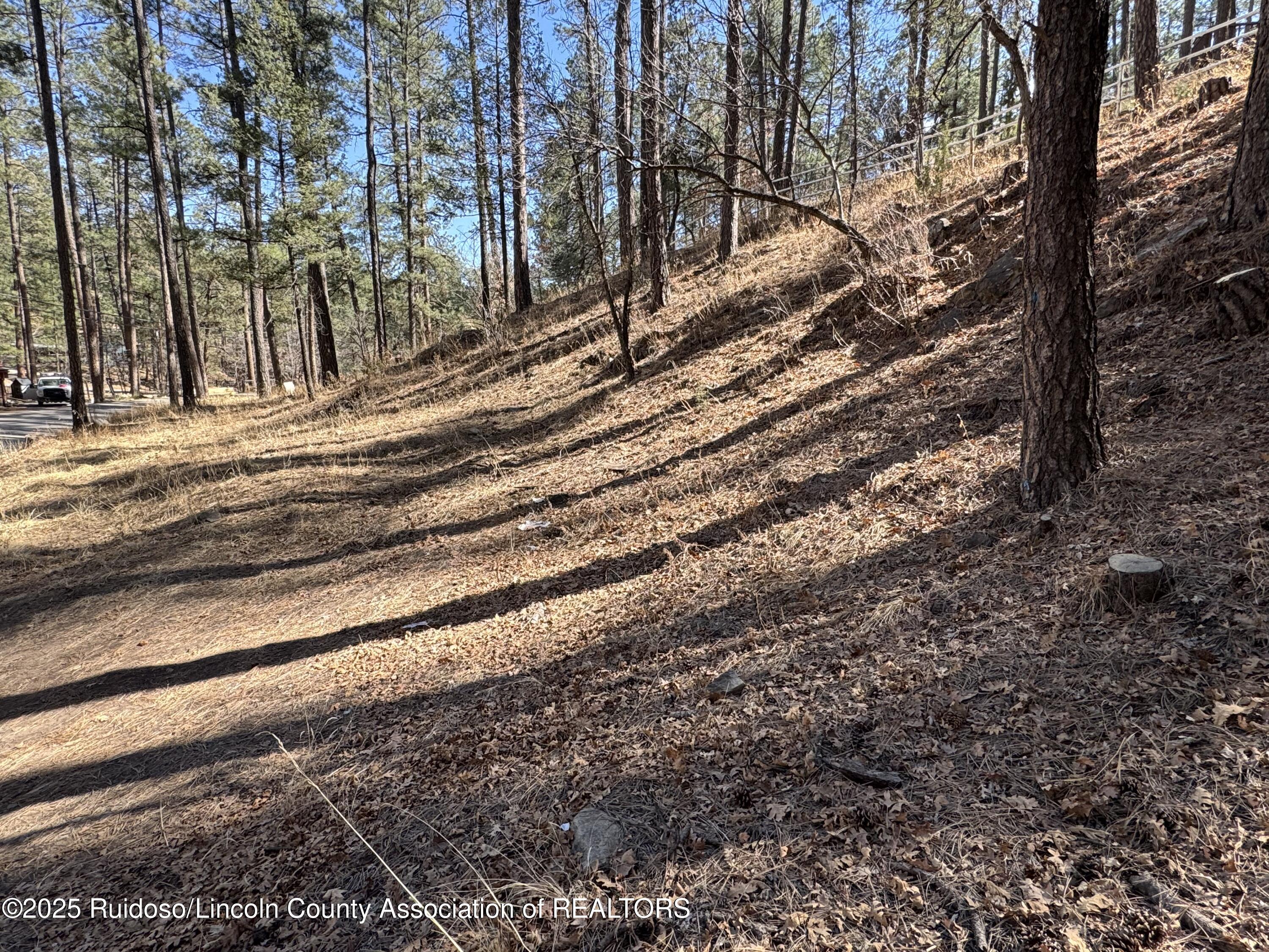 131 Brady Canyon Drive, Ruidoso, New Mexico image 8