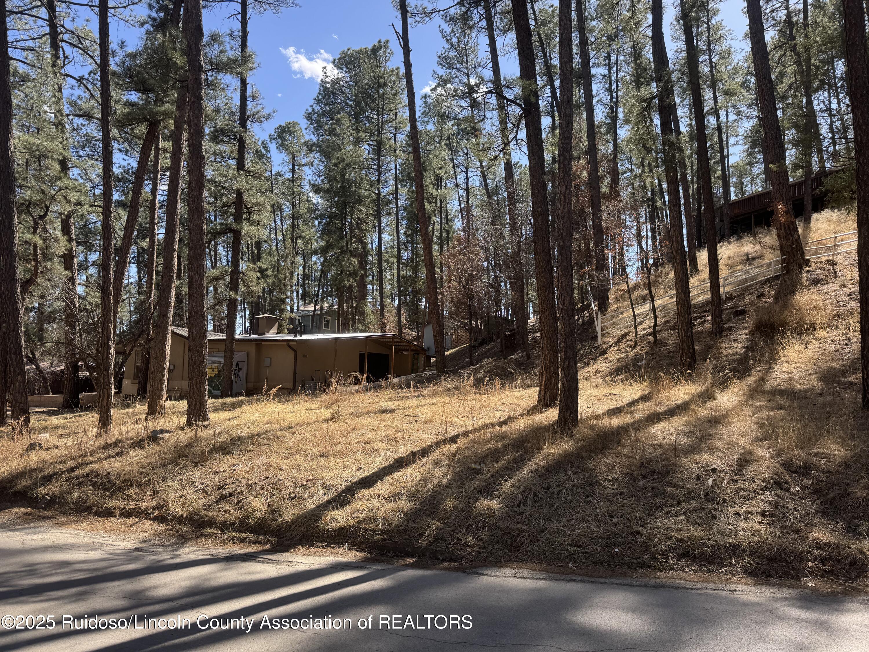 131 Brady Canyon Drive, Ruidoso, New Mexico image 5