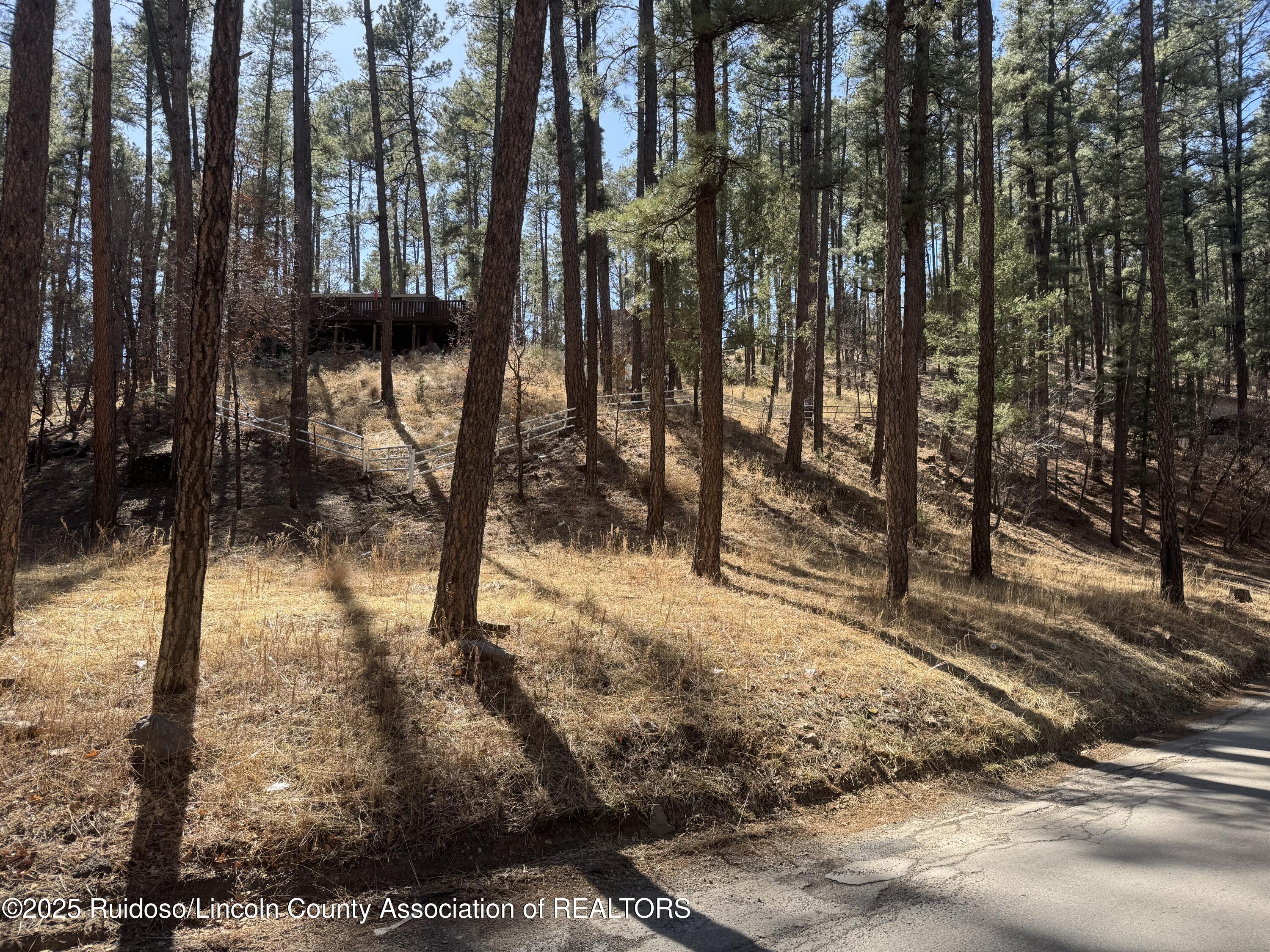 131 Brady Canyon Drive, Ruidoso, New Mexico image 2