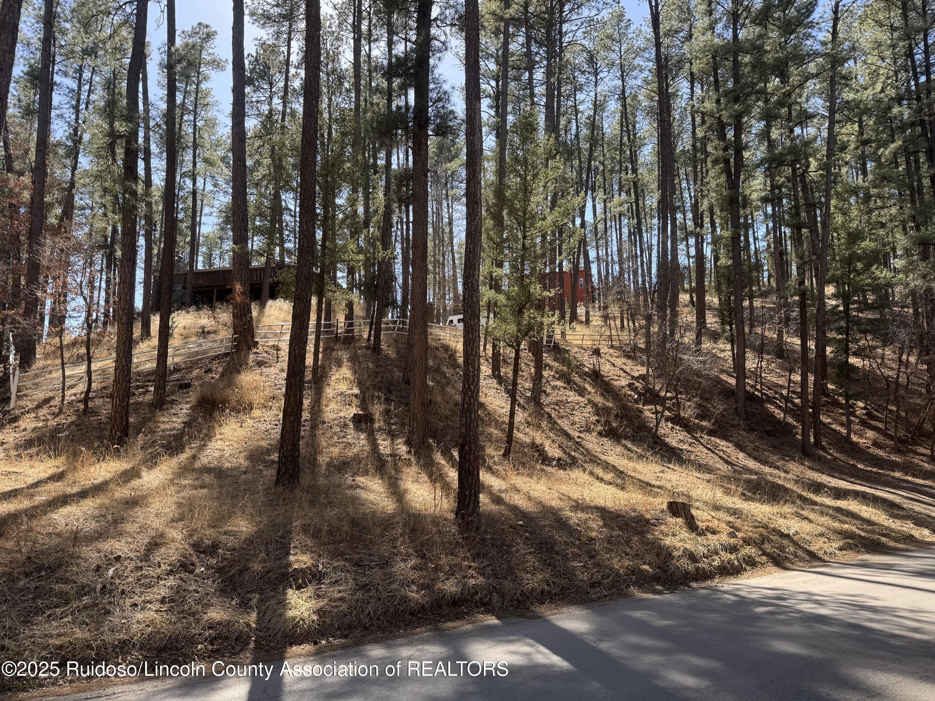 131 Brady Canyon Drive, Ruidoso, New Mexico image 6