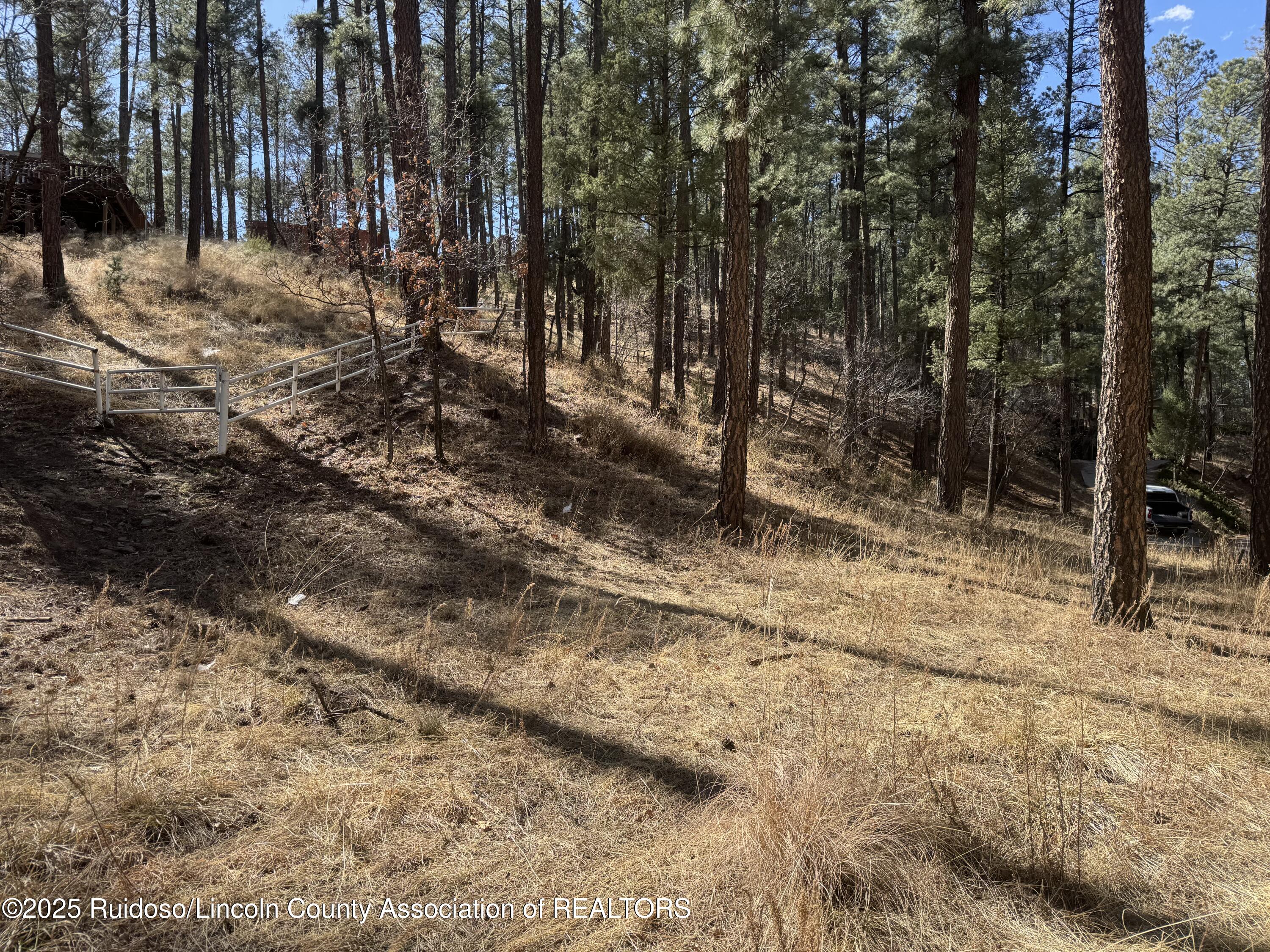131 Brady Canyon Drive, Ruidoso, New Mexico image 1
