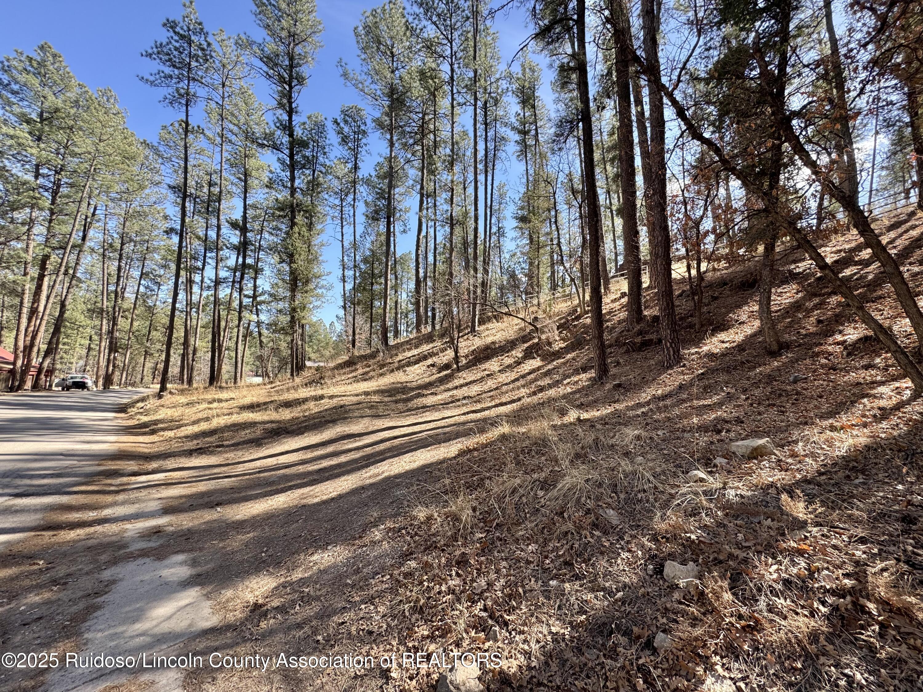 131 Brady Canyon Drive, Ruidoso, New Mexico image 7