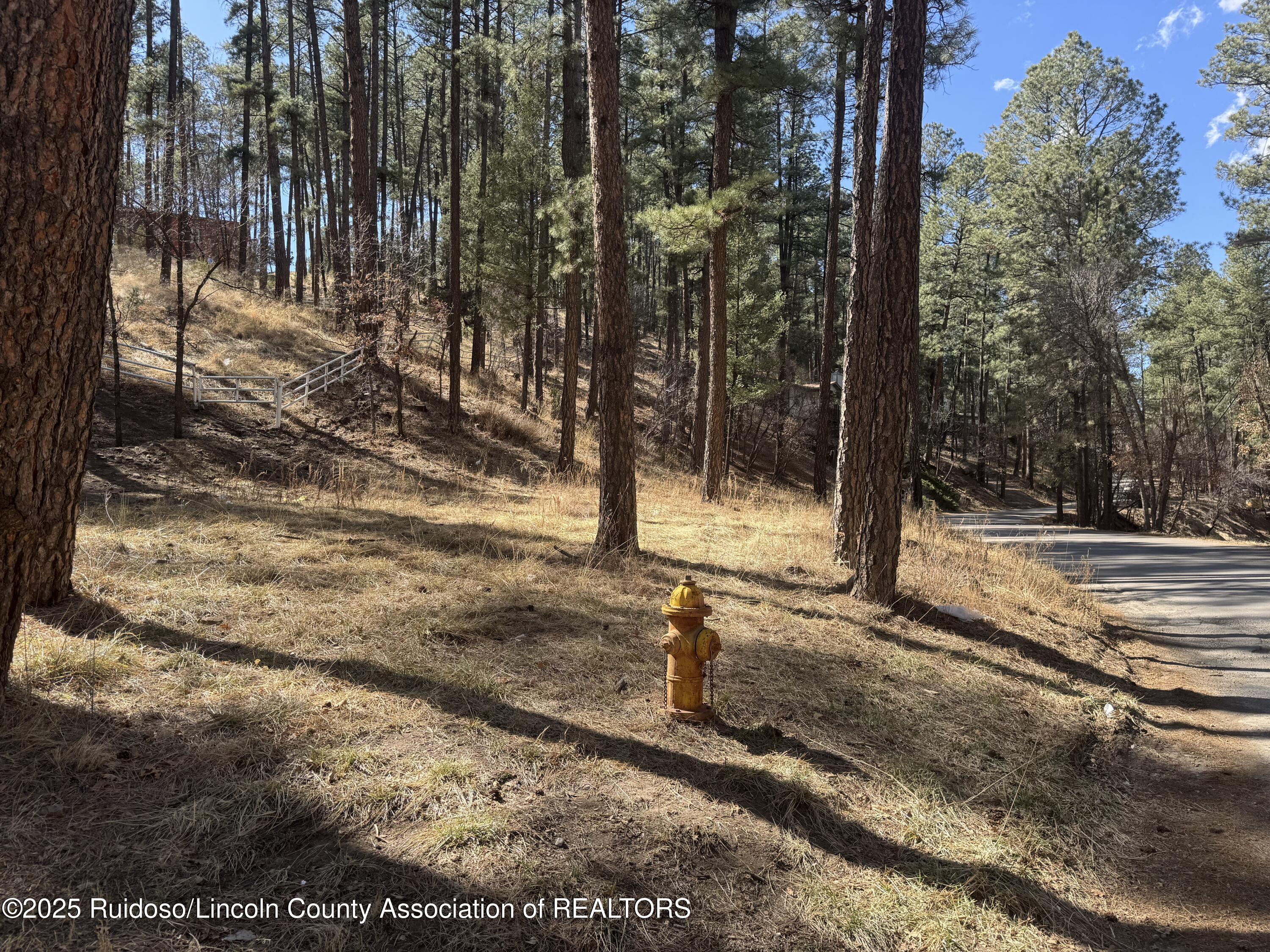 131 Brady Canyon Drive, Ruidoso, New Mexico image 10