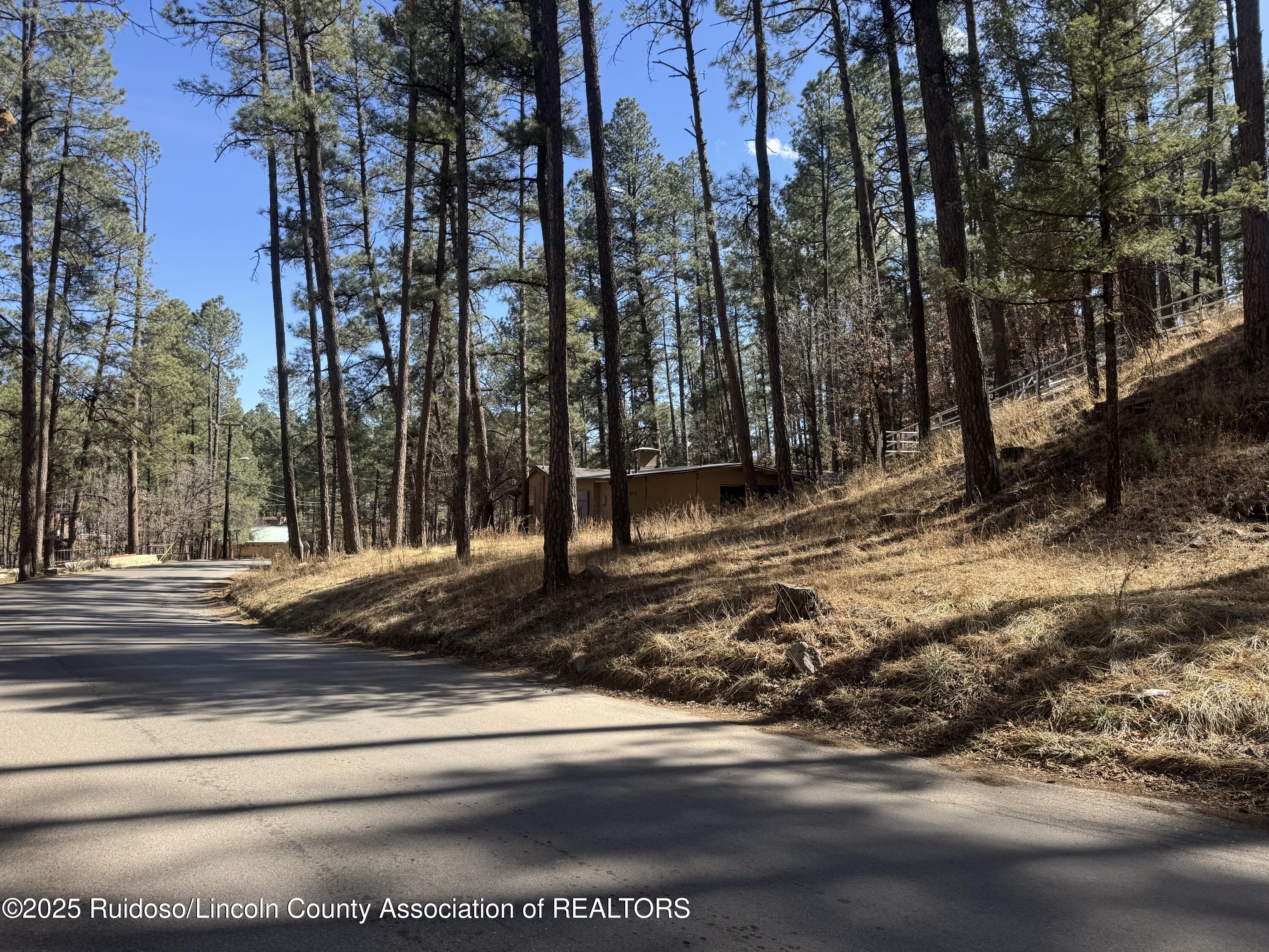 131 Brady Canyon Drive, Ruidoso, New Mexico image 4