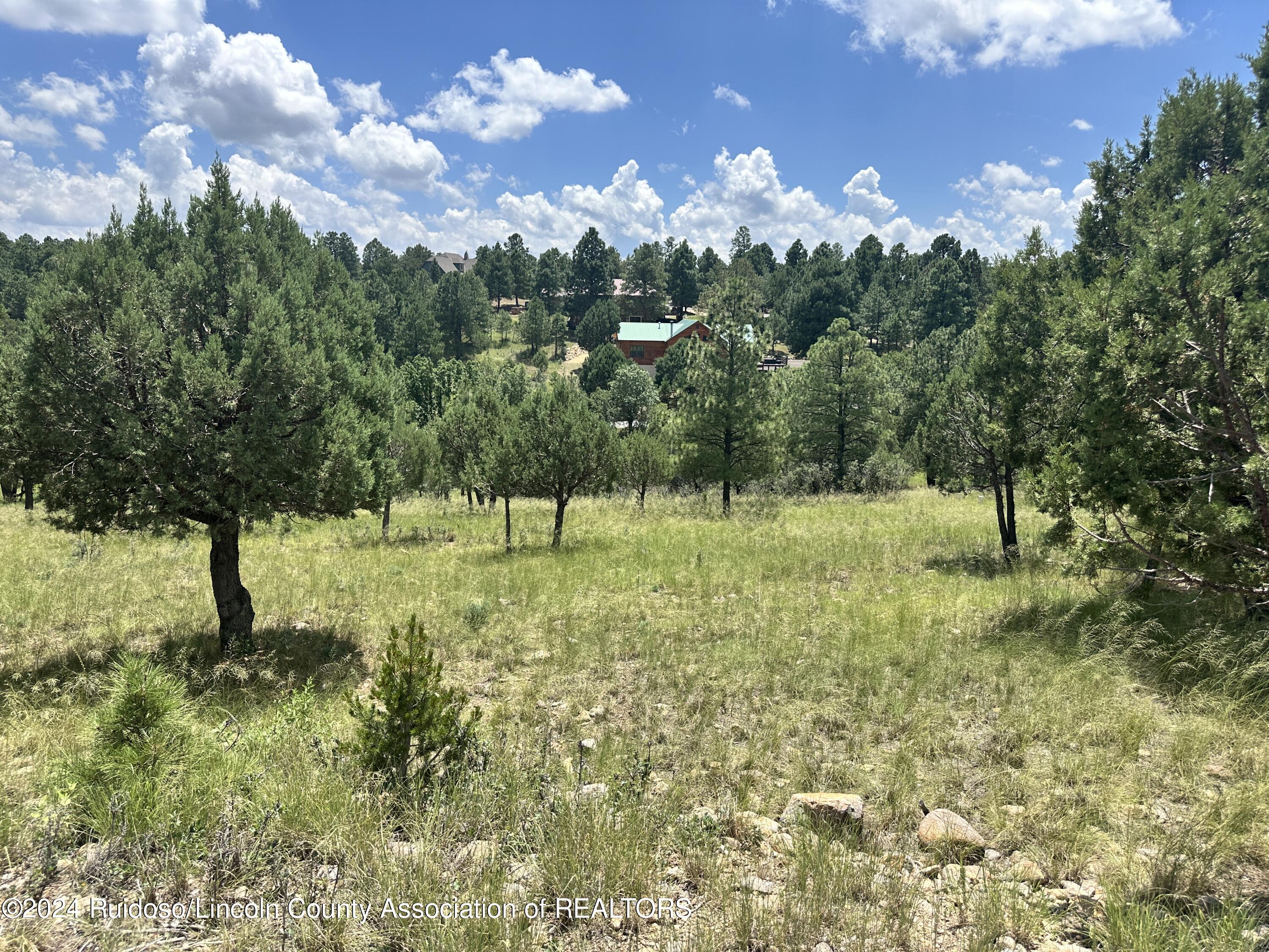 Lot 8 Mira Monte Road, Alto, New Mexico image 1