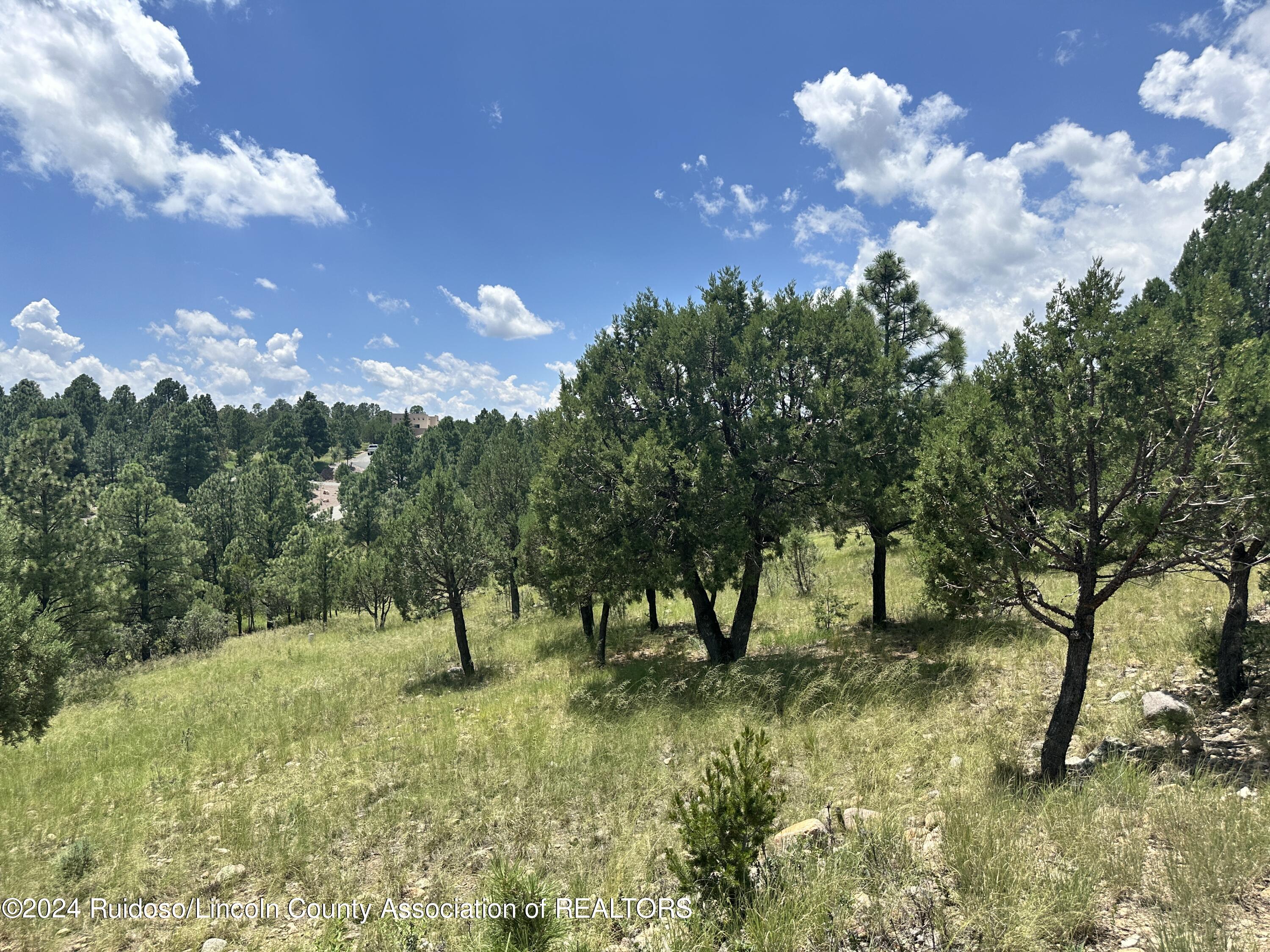 Lot 8 Mira Monte Road, Alto, New Mexico image 2