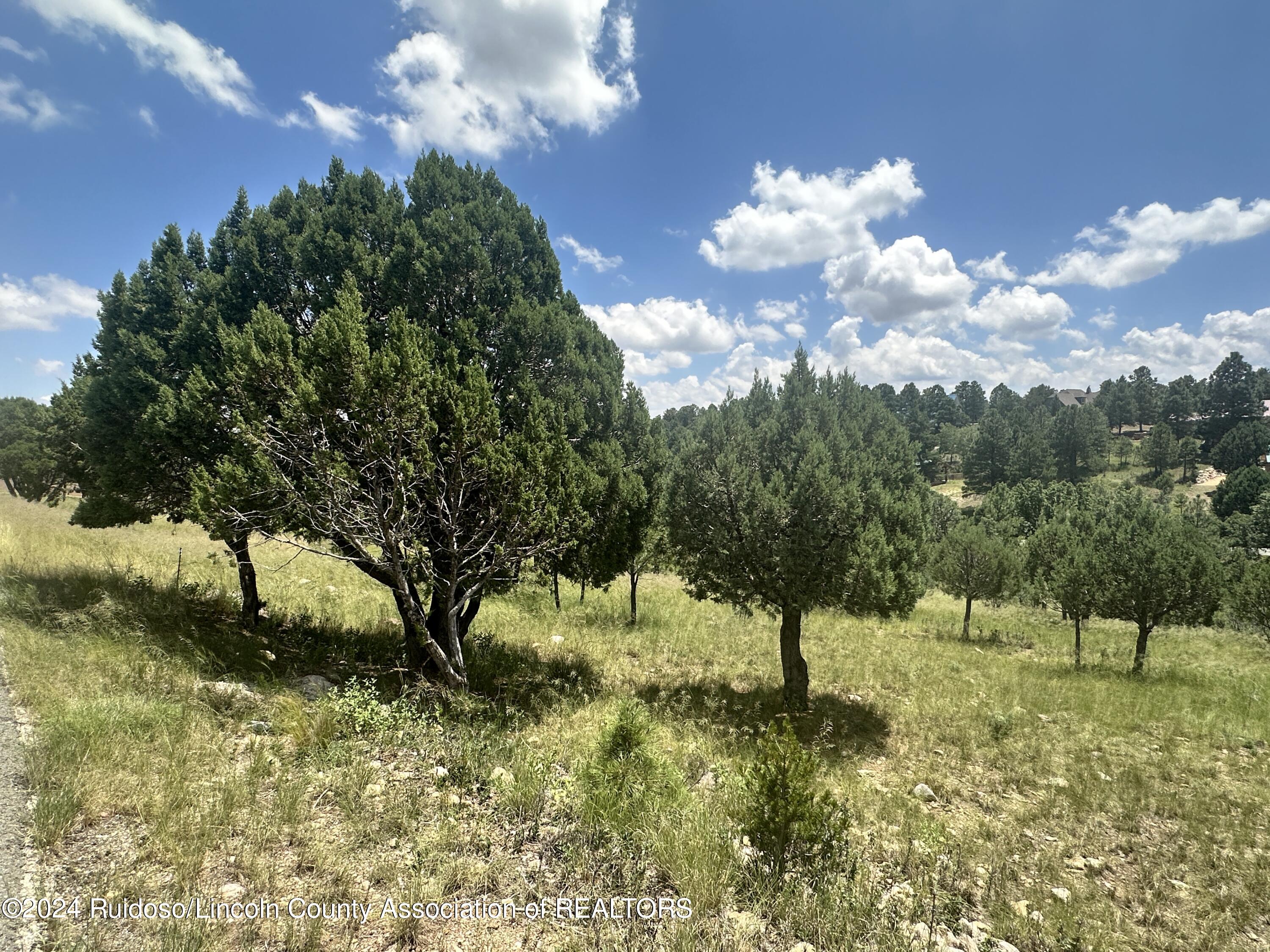 Lot 8 Mira Monte Road, Alto, New Mexico image 3