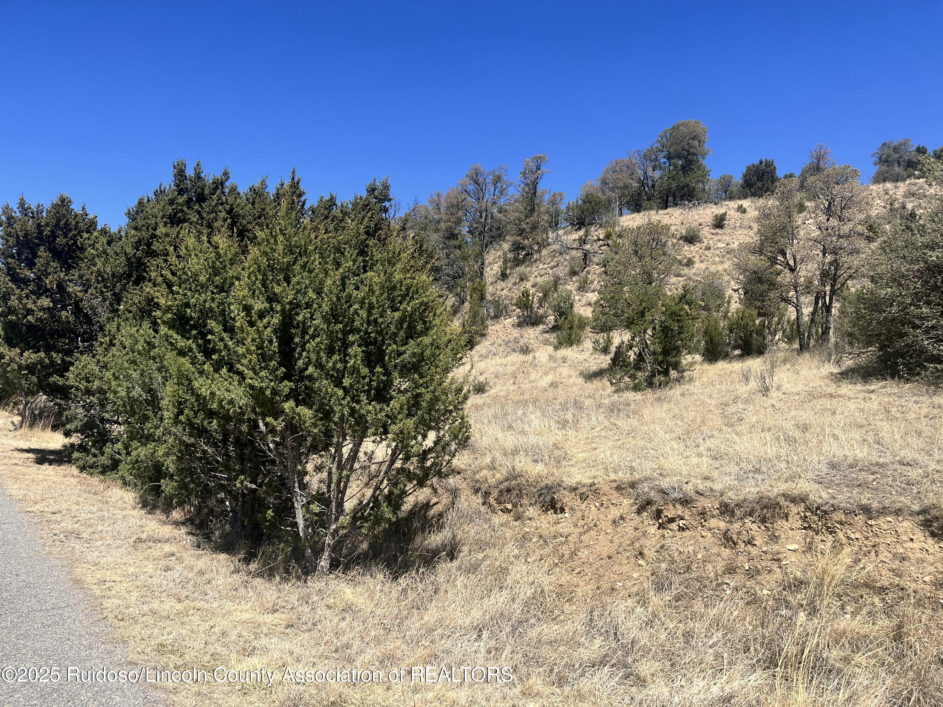 L30 B2 Little Big Horn Road, Alto, New Mexico image 6