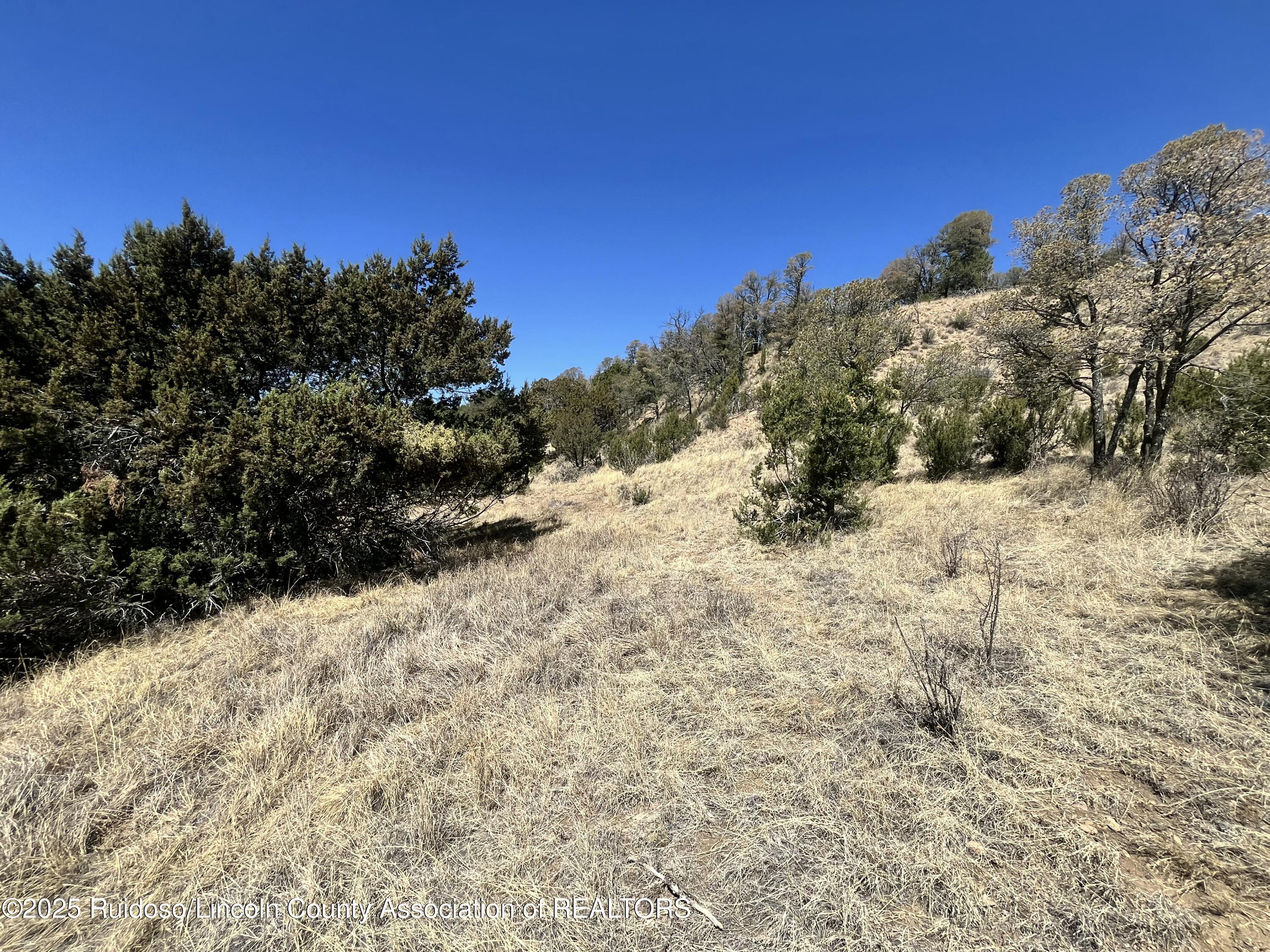 L30 B2 Little Big Horn Road, Alto, New Mexico image 14
