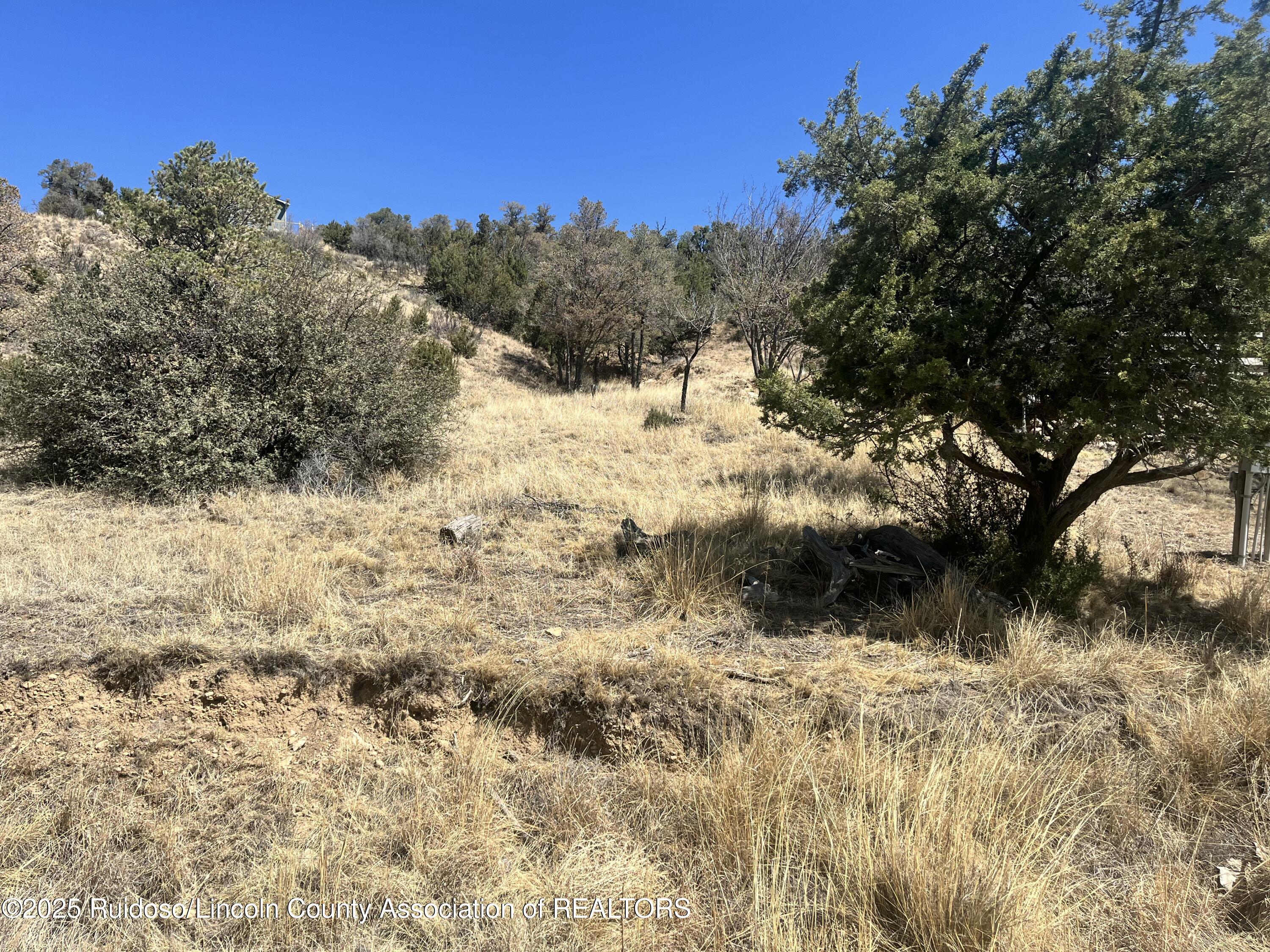 L30 B2 Little Big Horn Road, Alto, New Mexico image 8