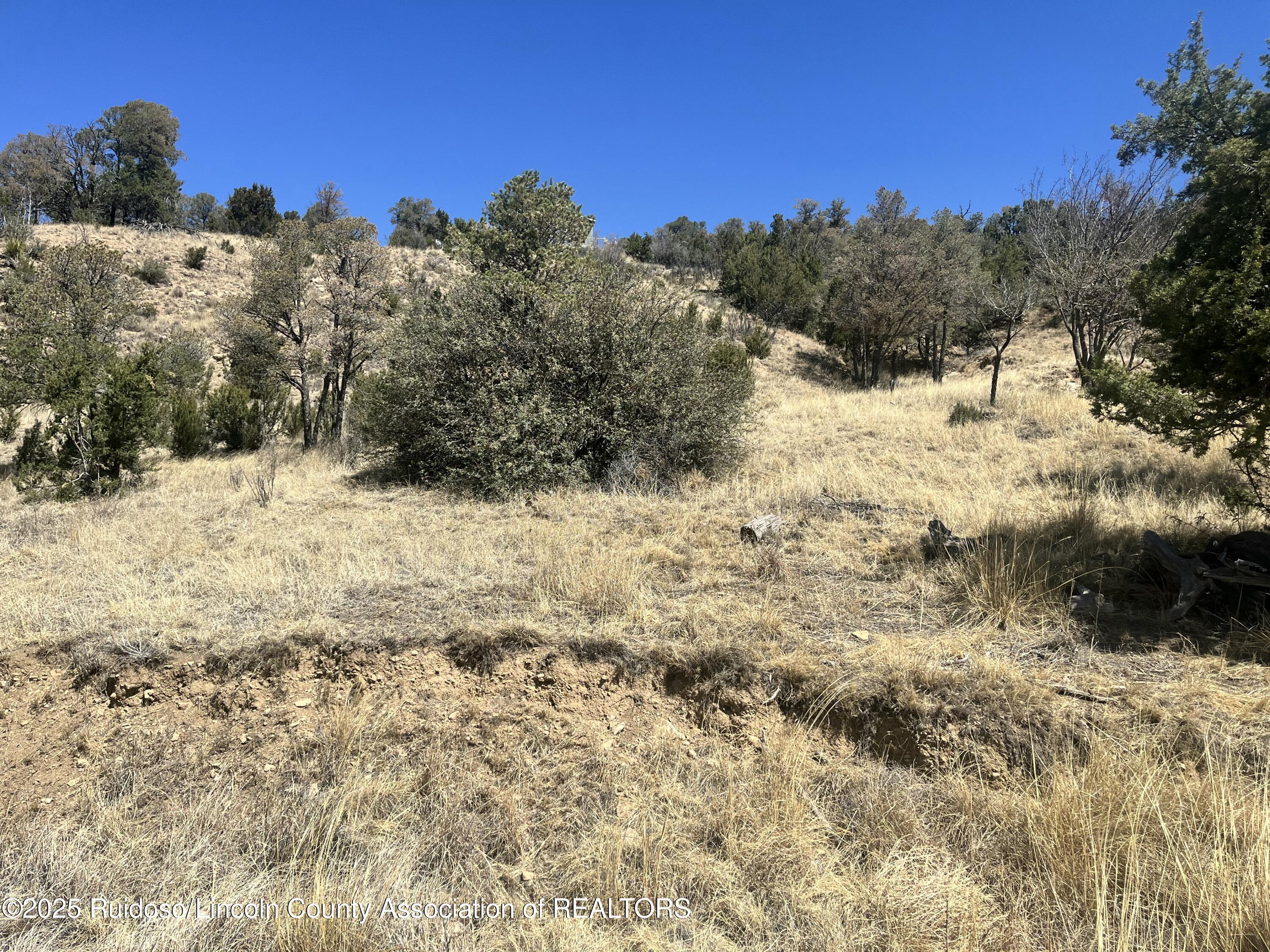 L30 B2 Little Big Horn Road, Alto, New Mexico image 7