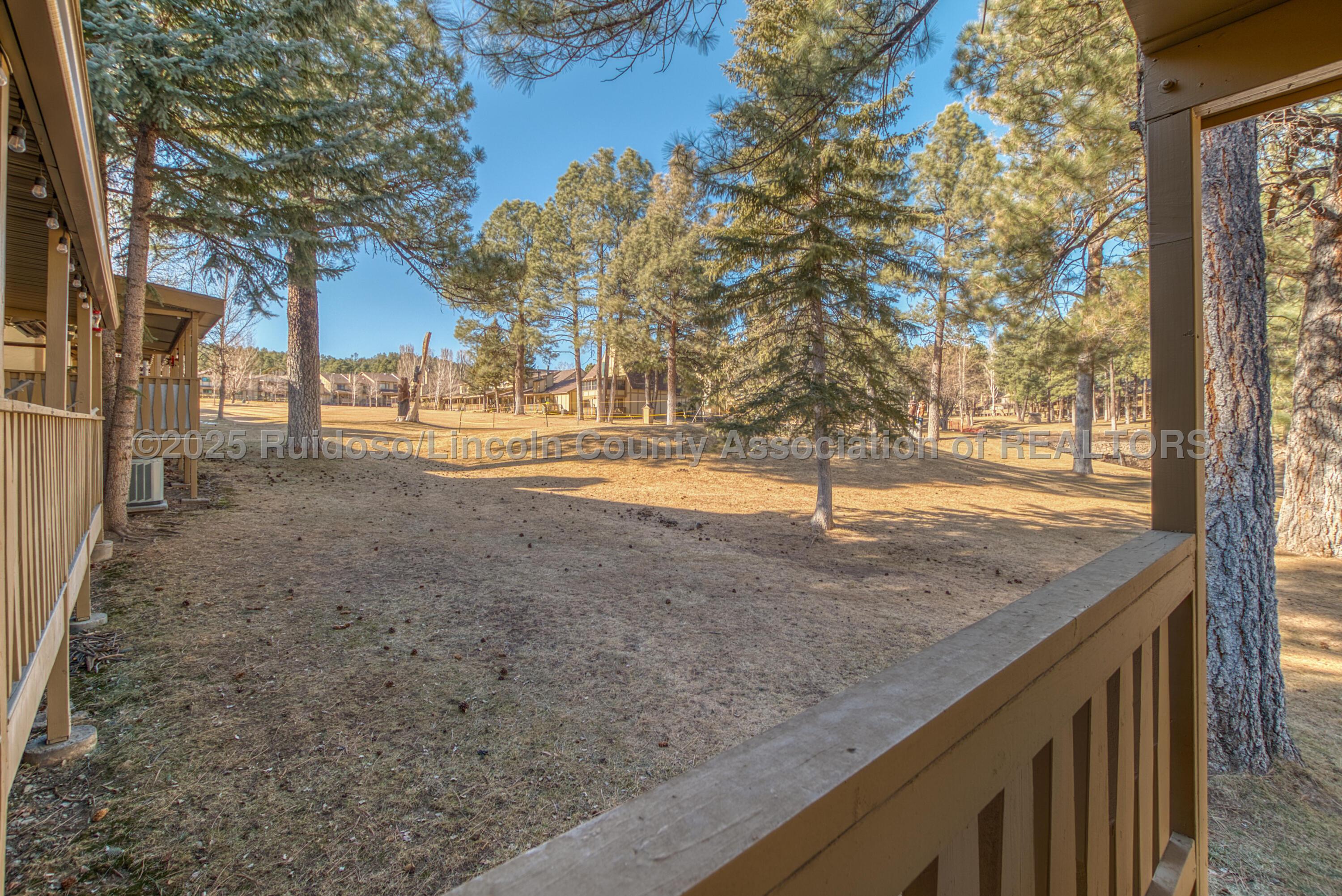 104 Cortina Drive, Ruidoso, New Mexico image 50