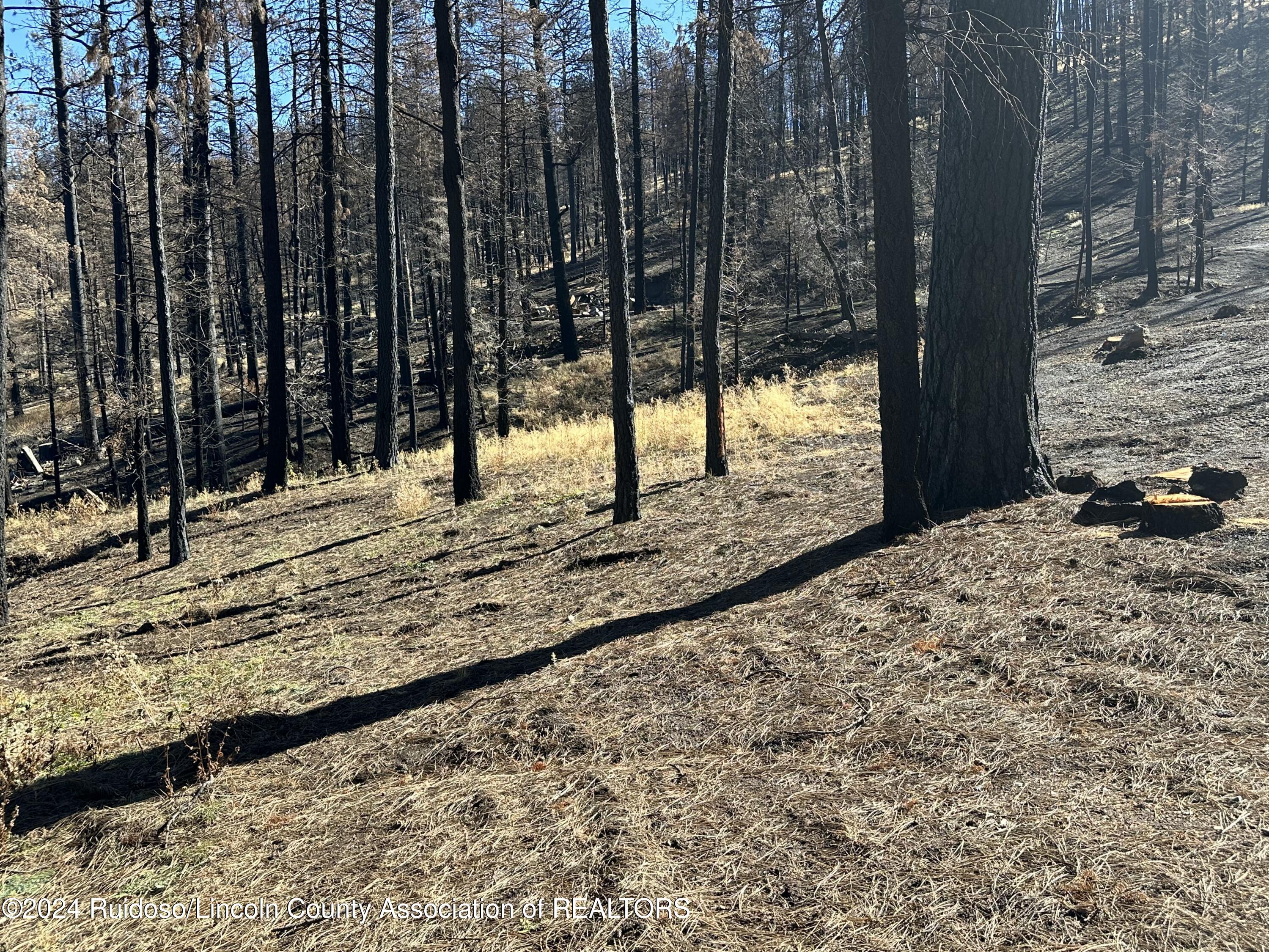165 Jarratt Lp Loop, Ruidoso, New Mexico image 10