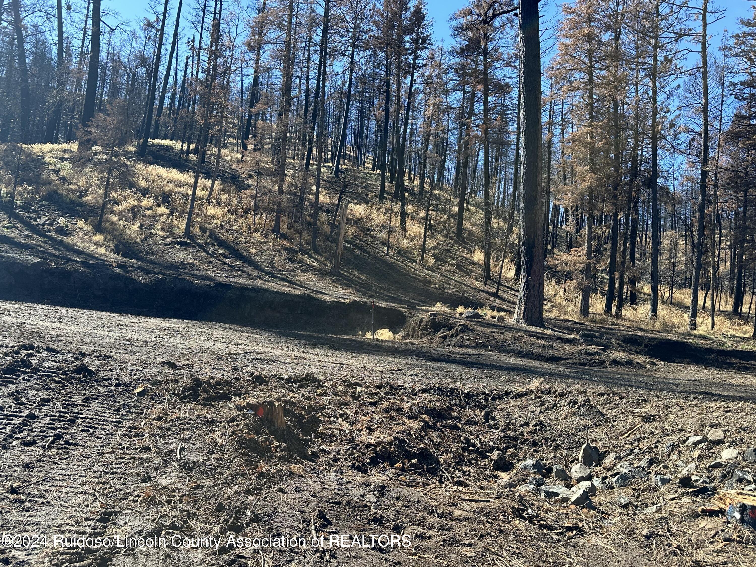 165 Jarratt Lp Loop, Ruidoso, New Mexico image 4