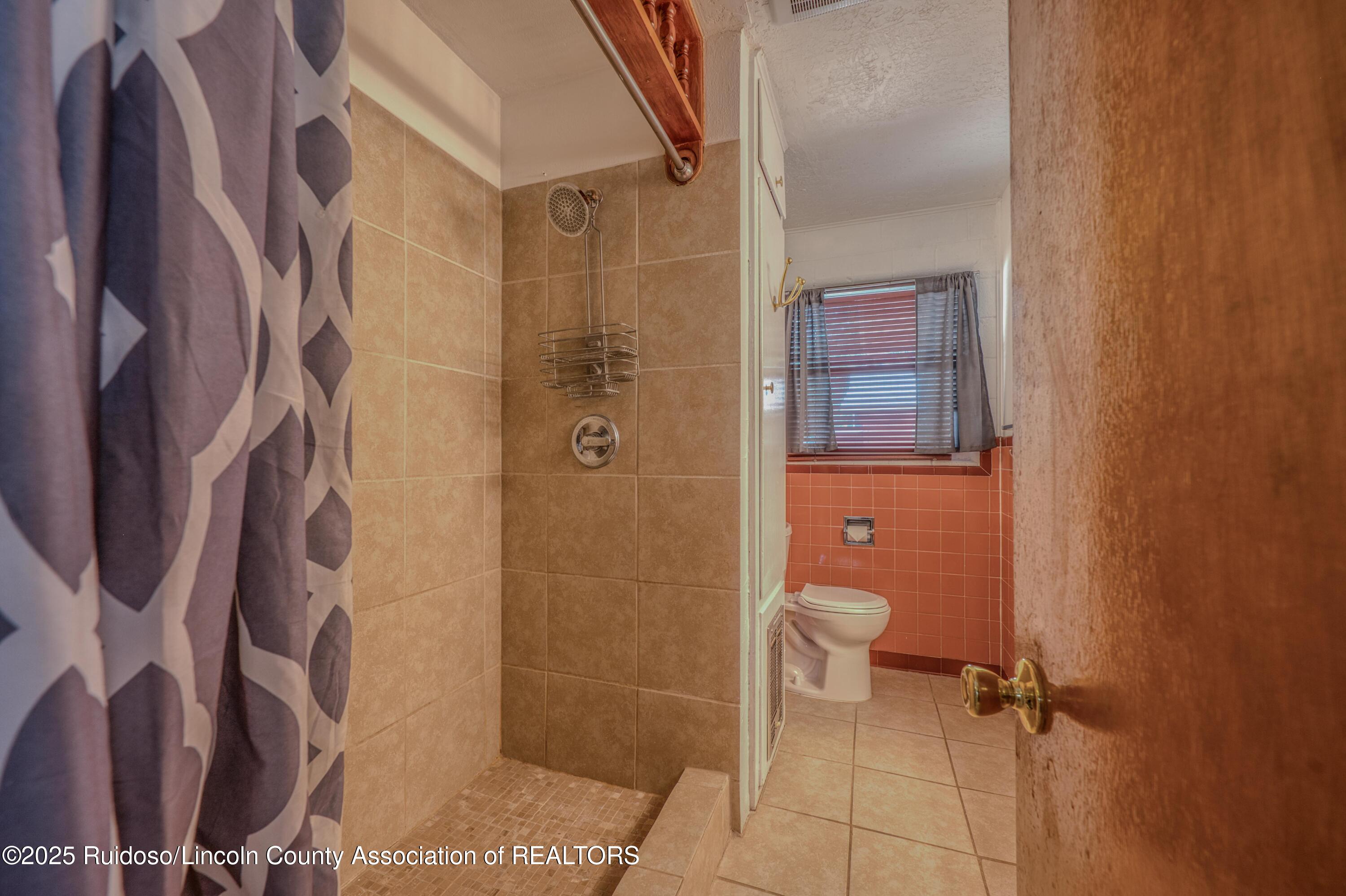135 Lower Terrace Dr. Dr, Ruidoso, New Mexico image 47