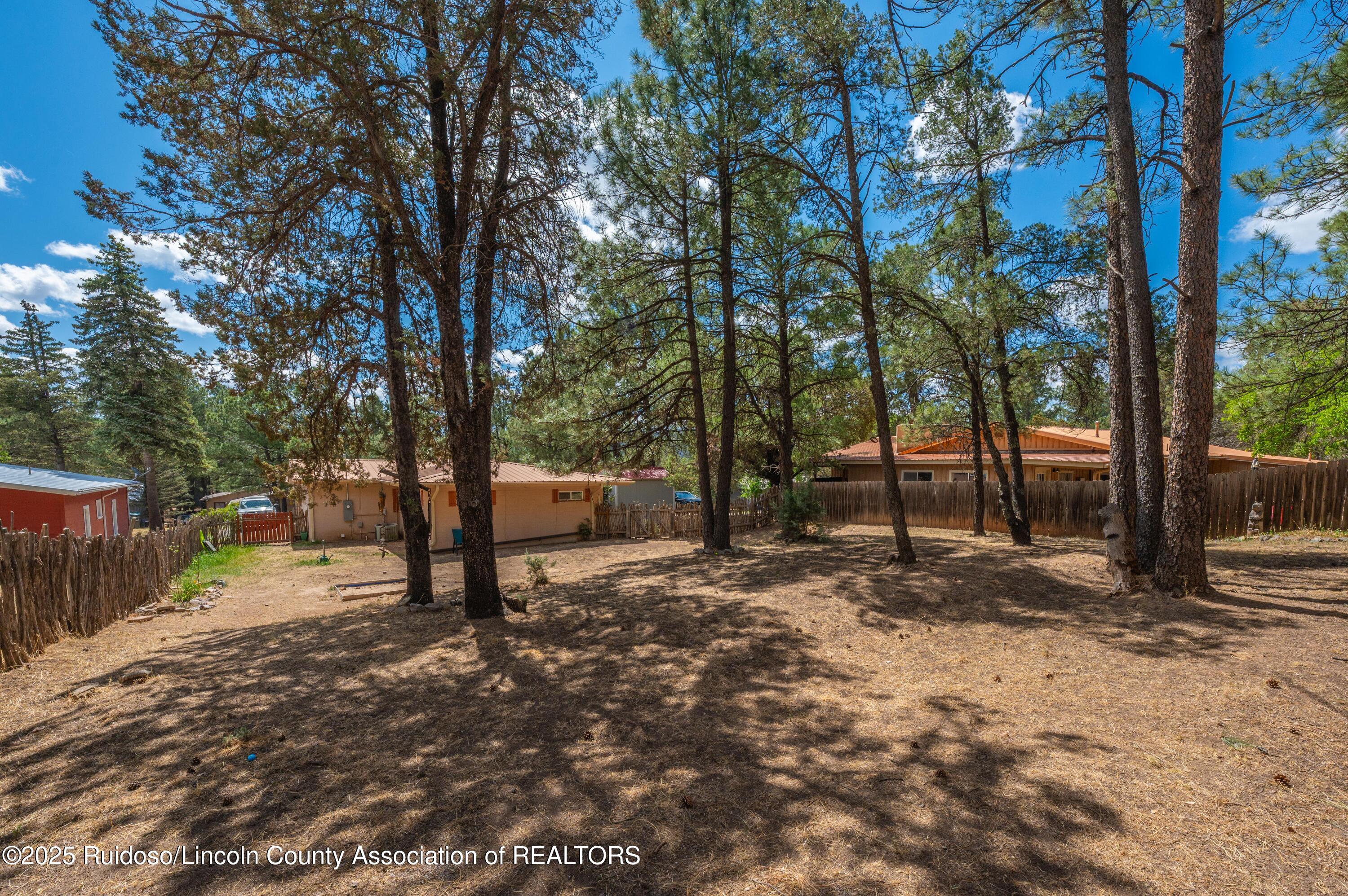 135 Lower Terrace Dr. Dr, Ruidoso, New Mexico image 10