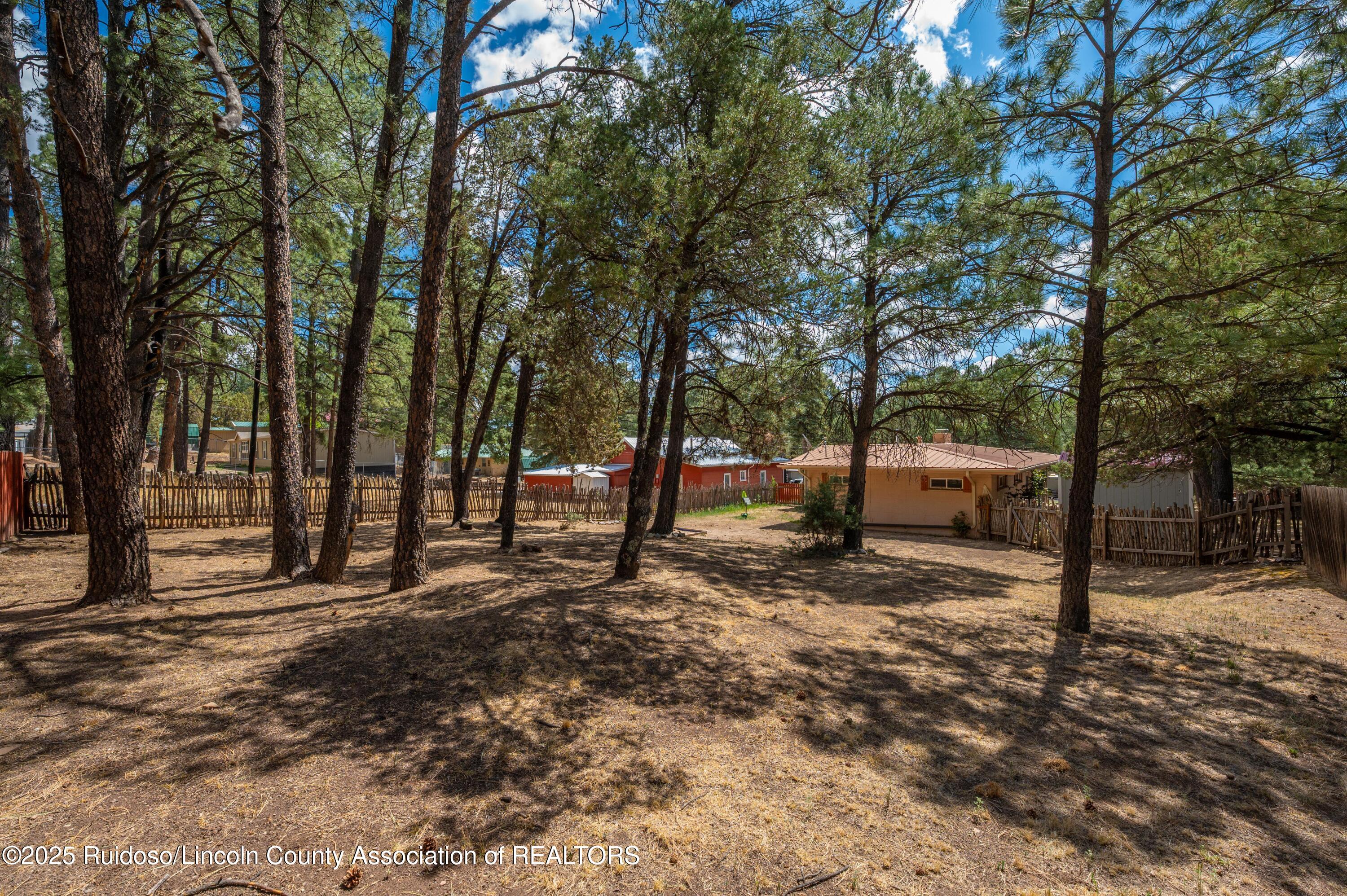 135 Lower Terrace Dr. Dr, Ruidoso, New Mexico image 9