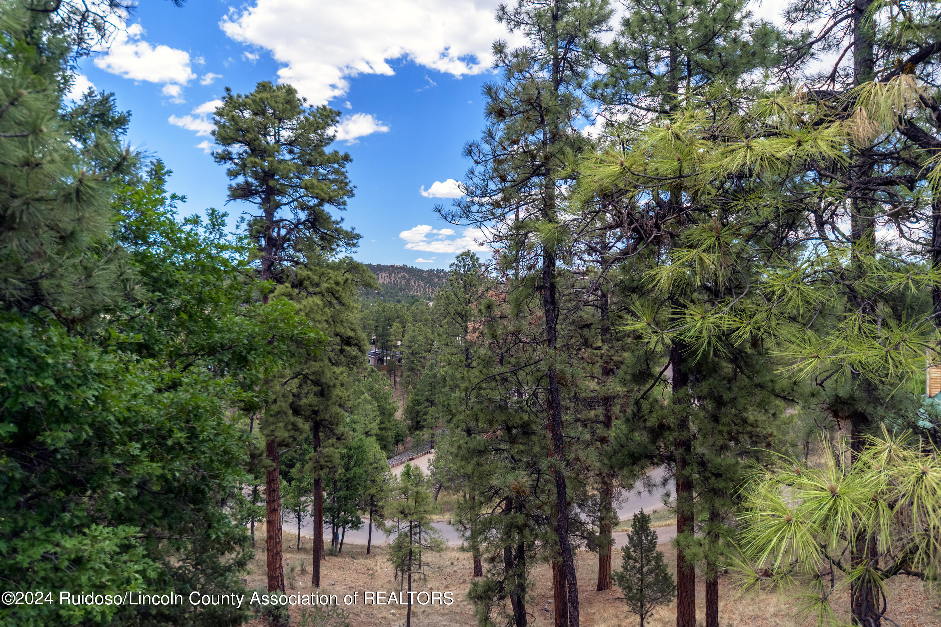 199 Granite Drive, Ruidoso, New Mexico image 36