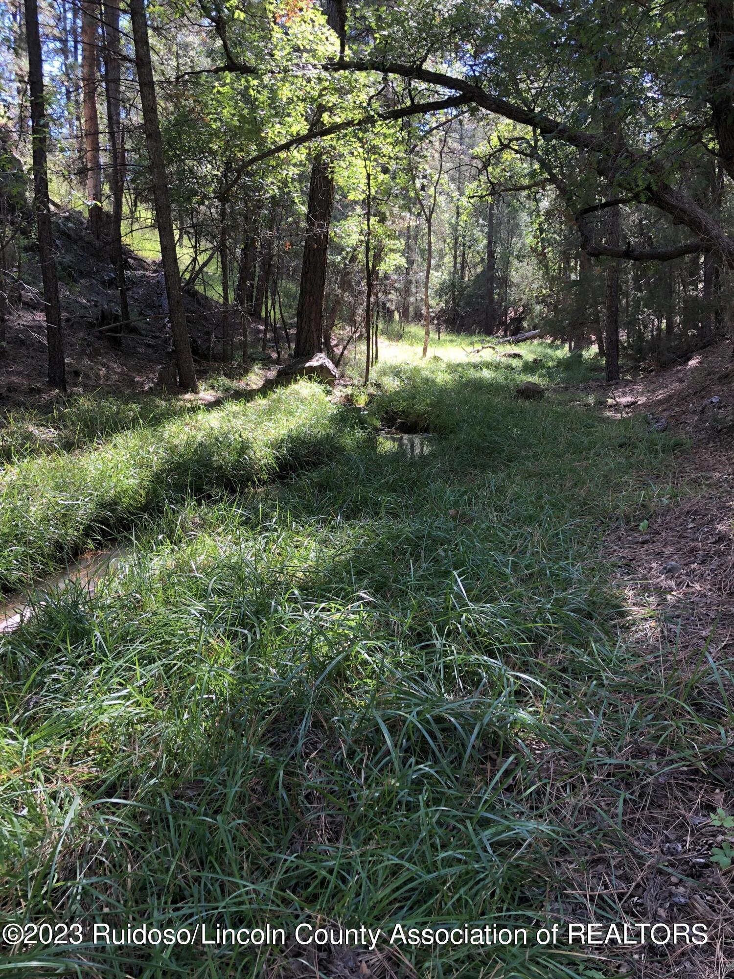 20A Grindstone Canyon Road, Ruidoso, New Mexico image 7