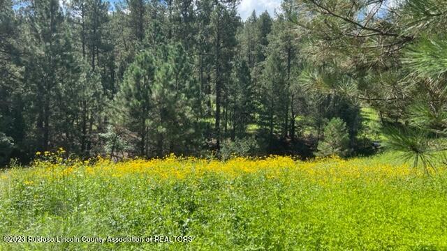 20A Grindstone Canyon Road, Ruidoso, New Mexico image 8