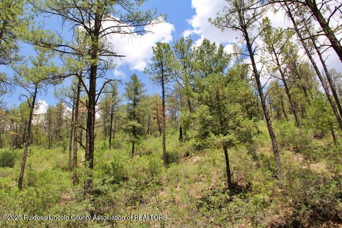 Ruidoso, New Mexico 88345, United States, ,Land,Active,188969