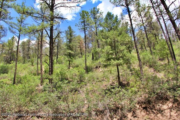 Ruidoso, New Mexico 88345, United States, ,Land,Active,188969