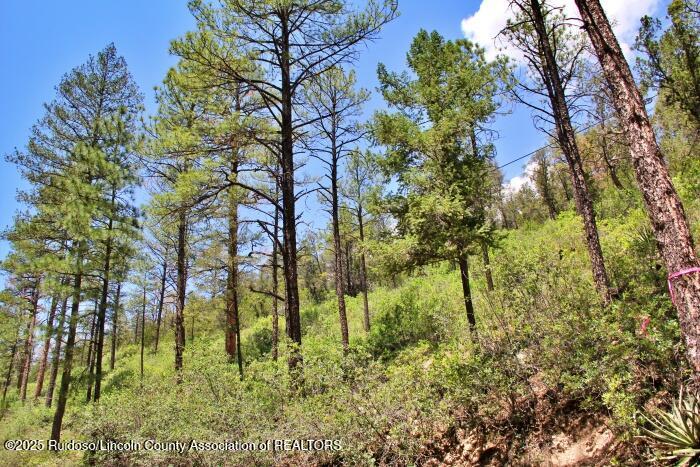 Ruidoso, New Mexico 88345, United States, ,Land,Active,188969