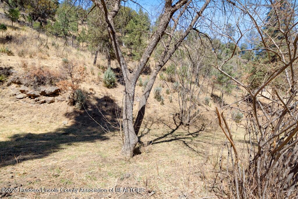 448 Flume Canyon Drive, Ruidoso, New Mexico image 3
