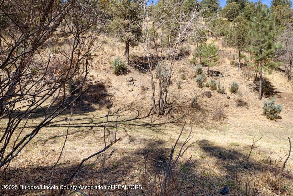 448 Flume Canyon Drive, Ruidoso, New Mexico image 2