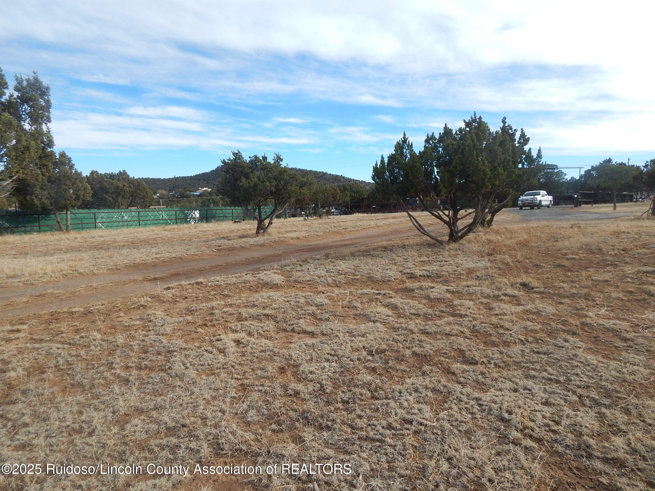 103 E Cedar Road, Capitan, New Mexico image 3