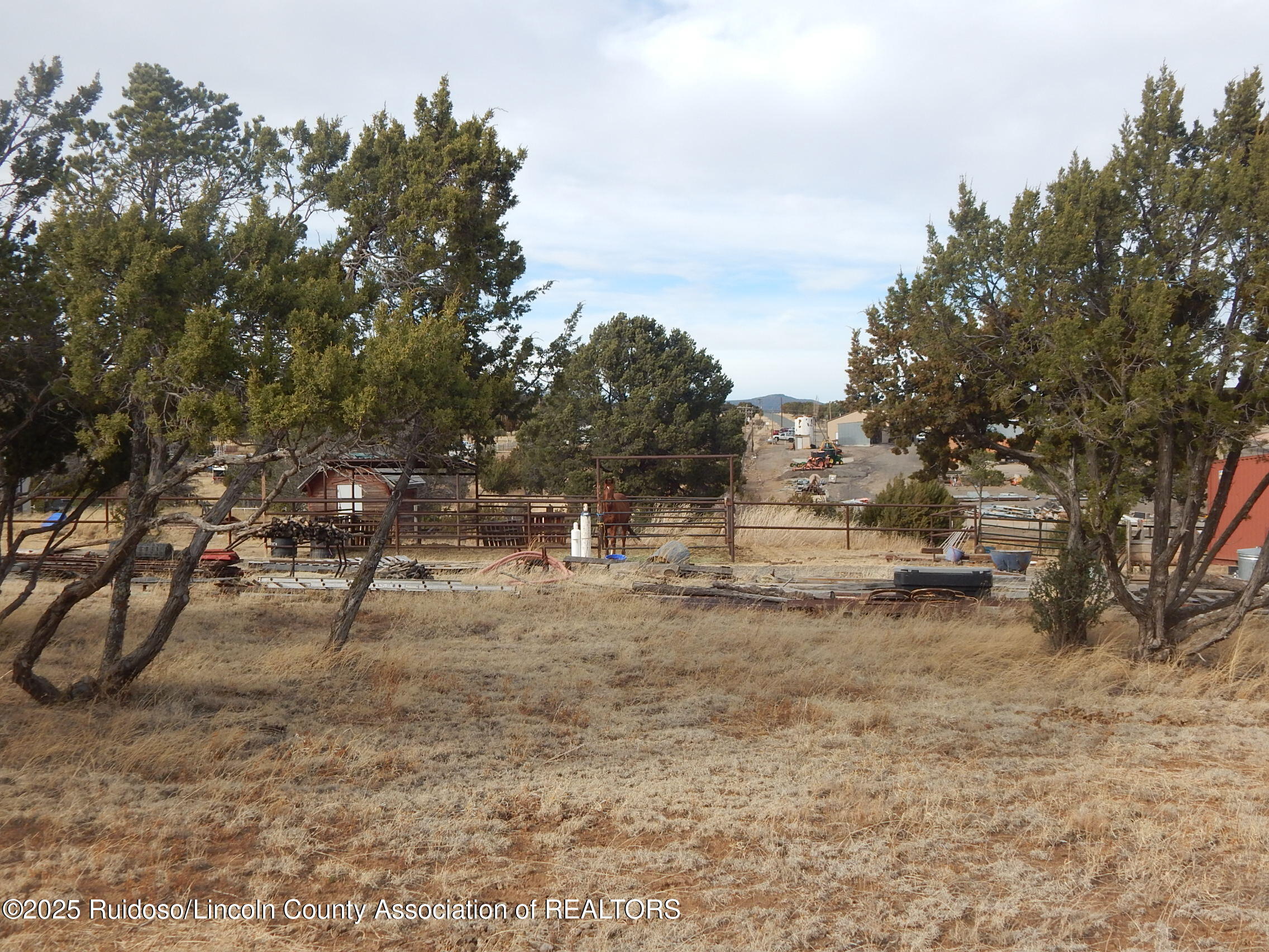 103 E Cedar Road, Capitan, New Mexico image 6