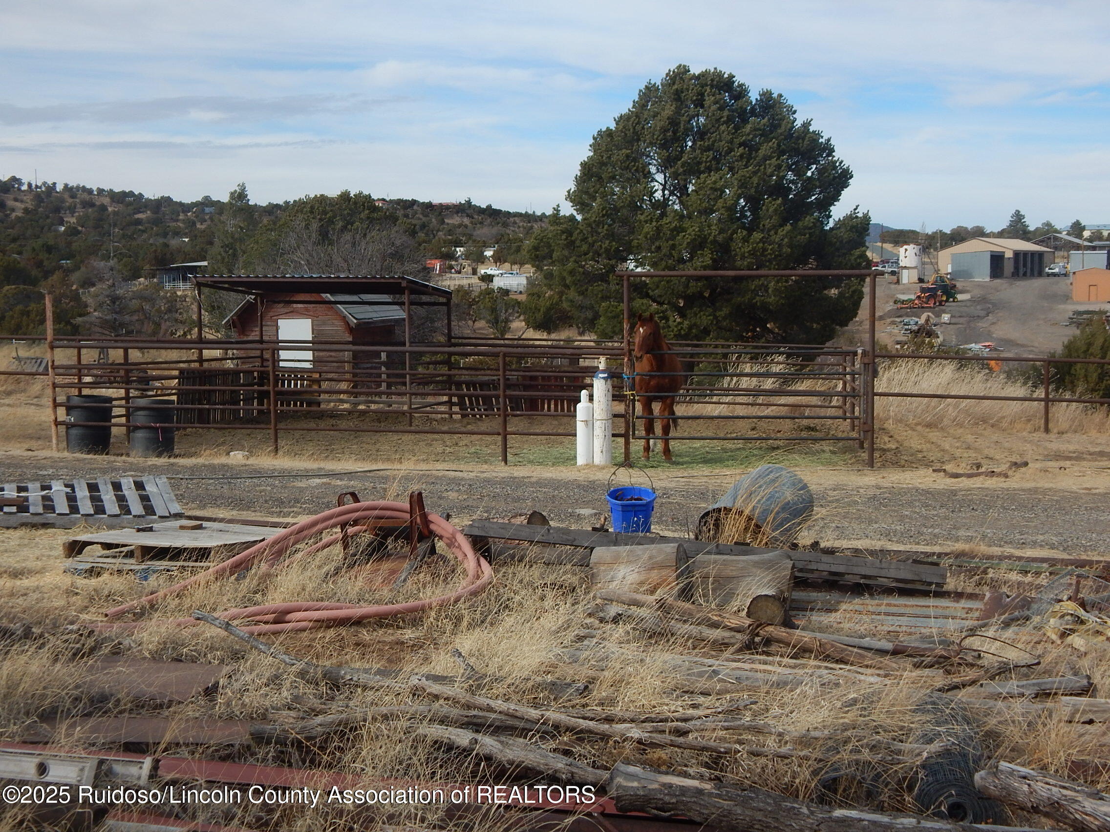 103 E Cedar Road, Capitan, New Mexico image 4