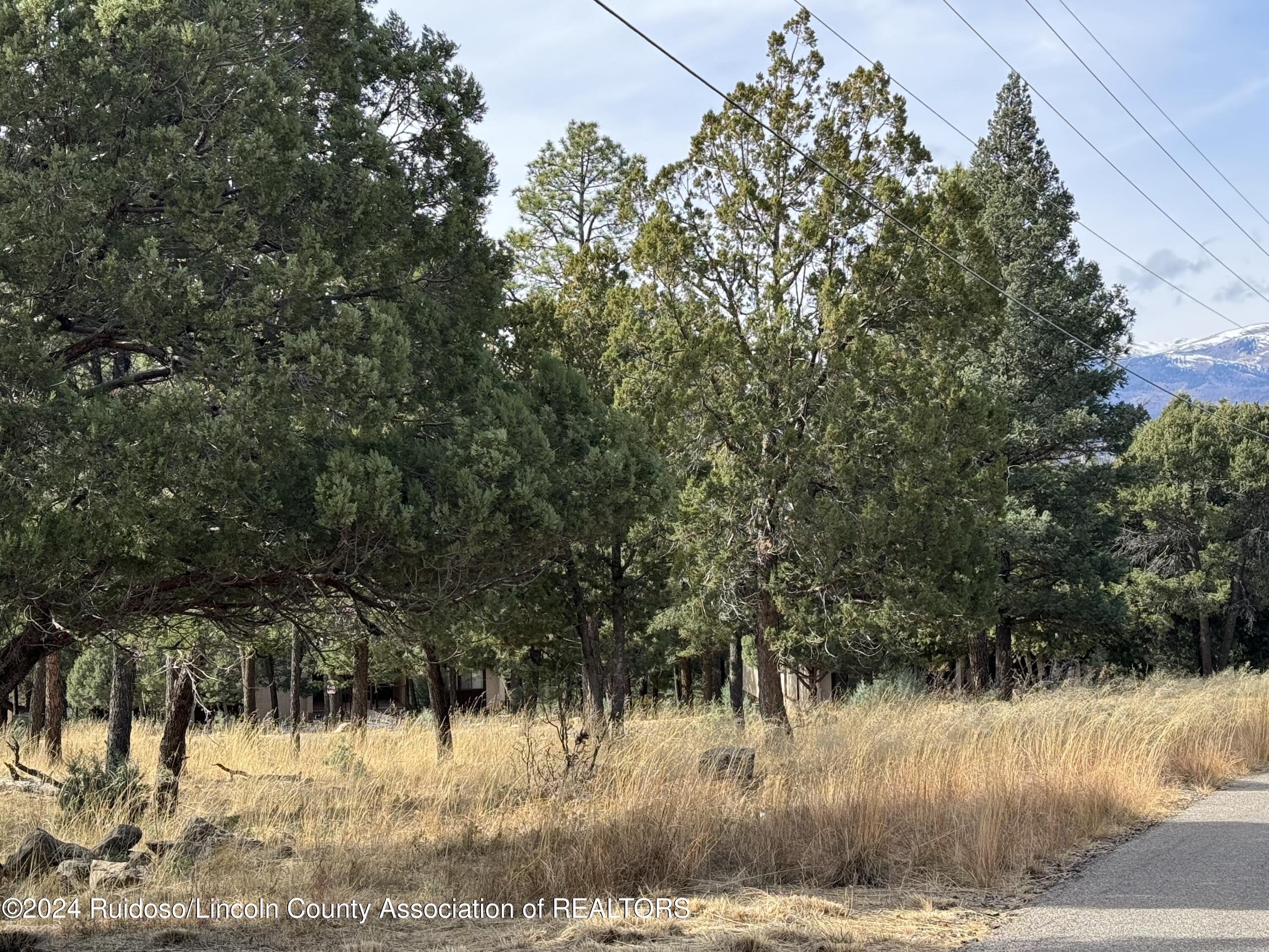 104 Merlyn Drive, Ruidoso, New Mexico image 19