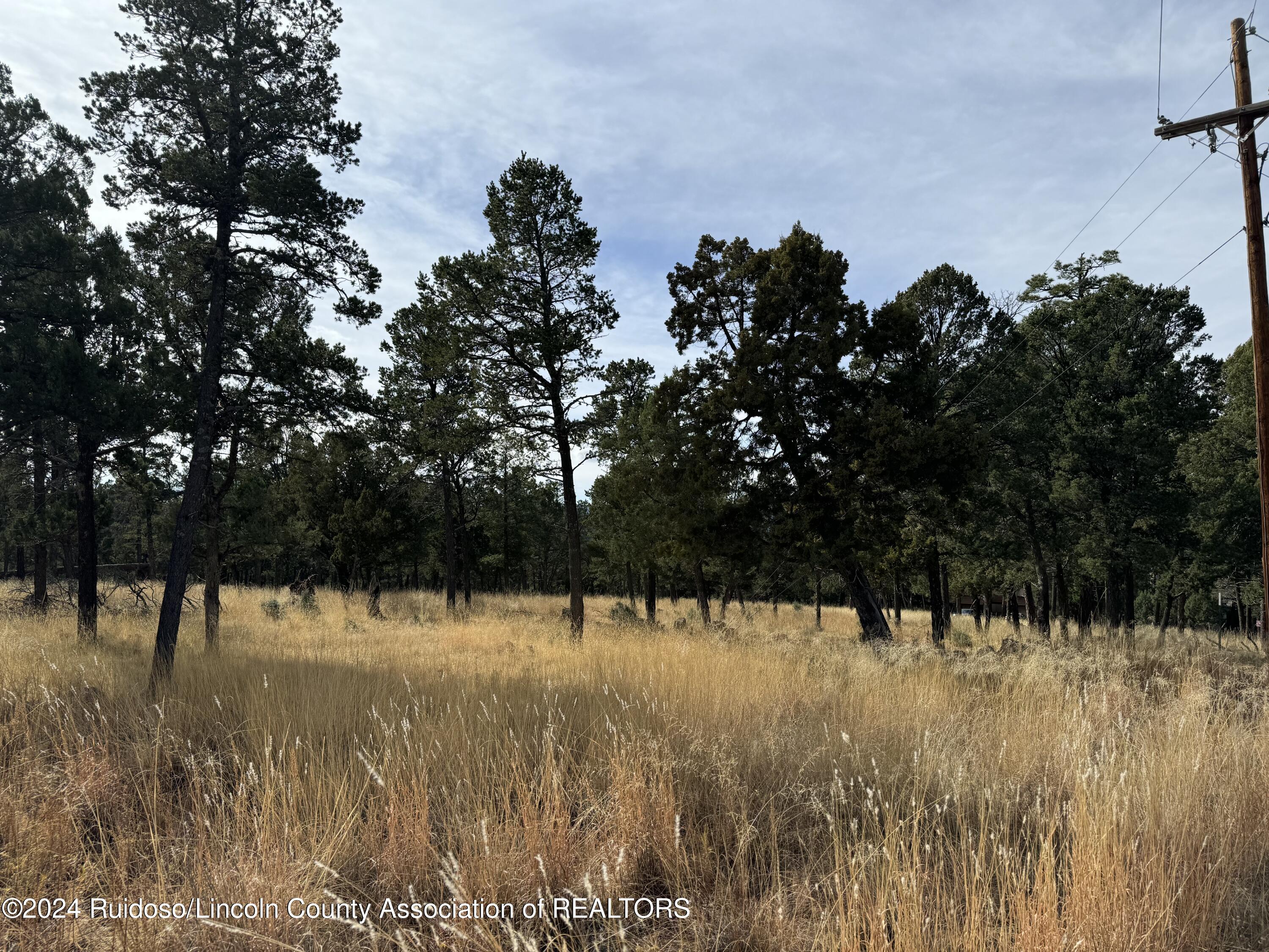 104 Merlyn Drive, Ruidoso, New Mexico image 5