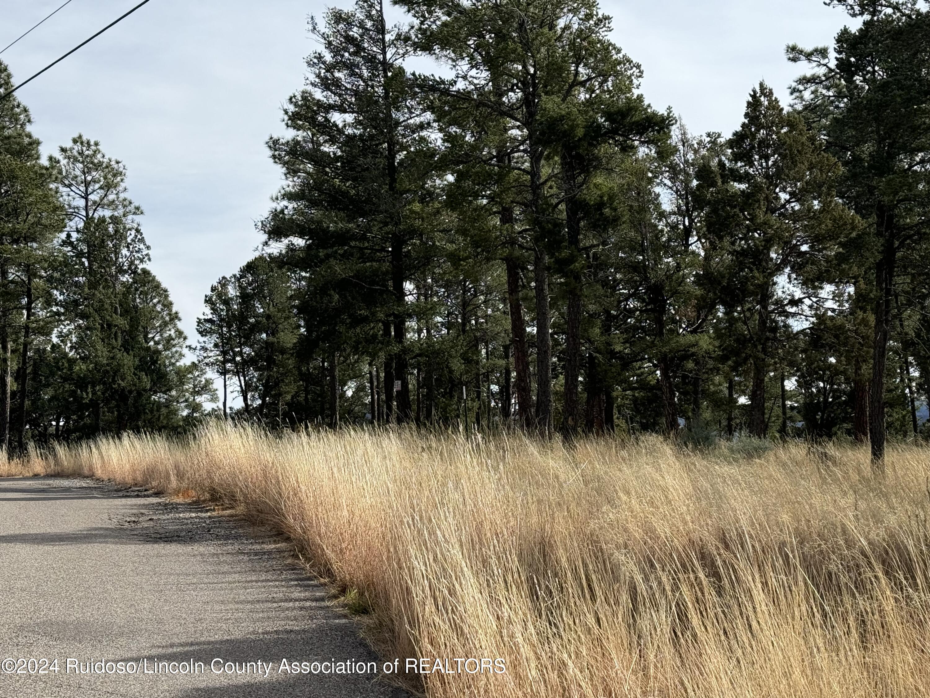 104 Merlyn Drive, Ruidoso, New Mexico image 14