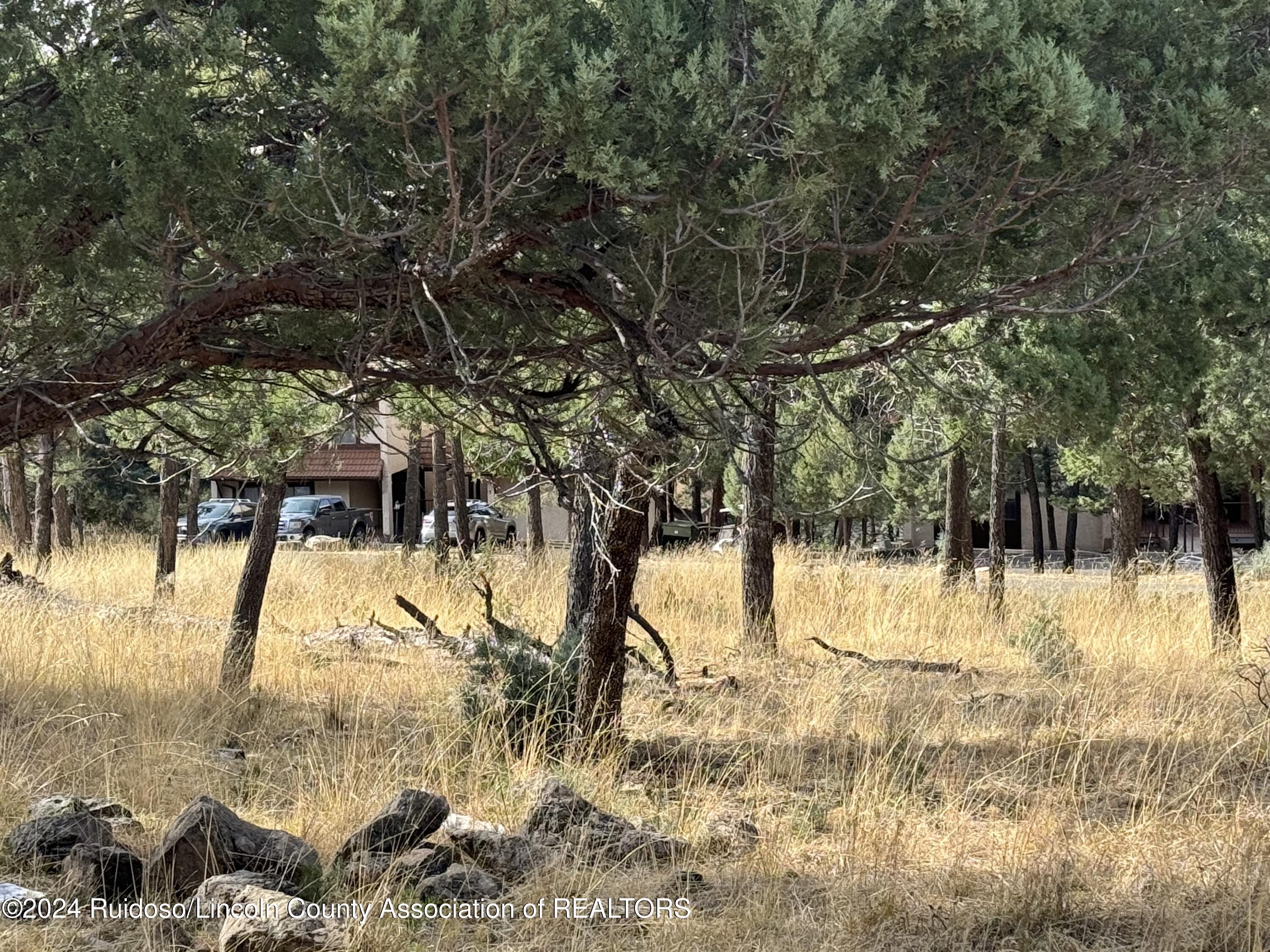 104 Merlyn Drive, Ruidoso, New Mexico image 10