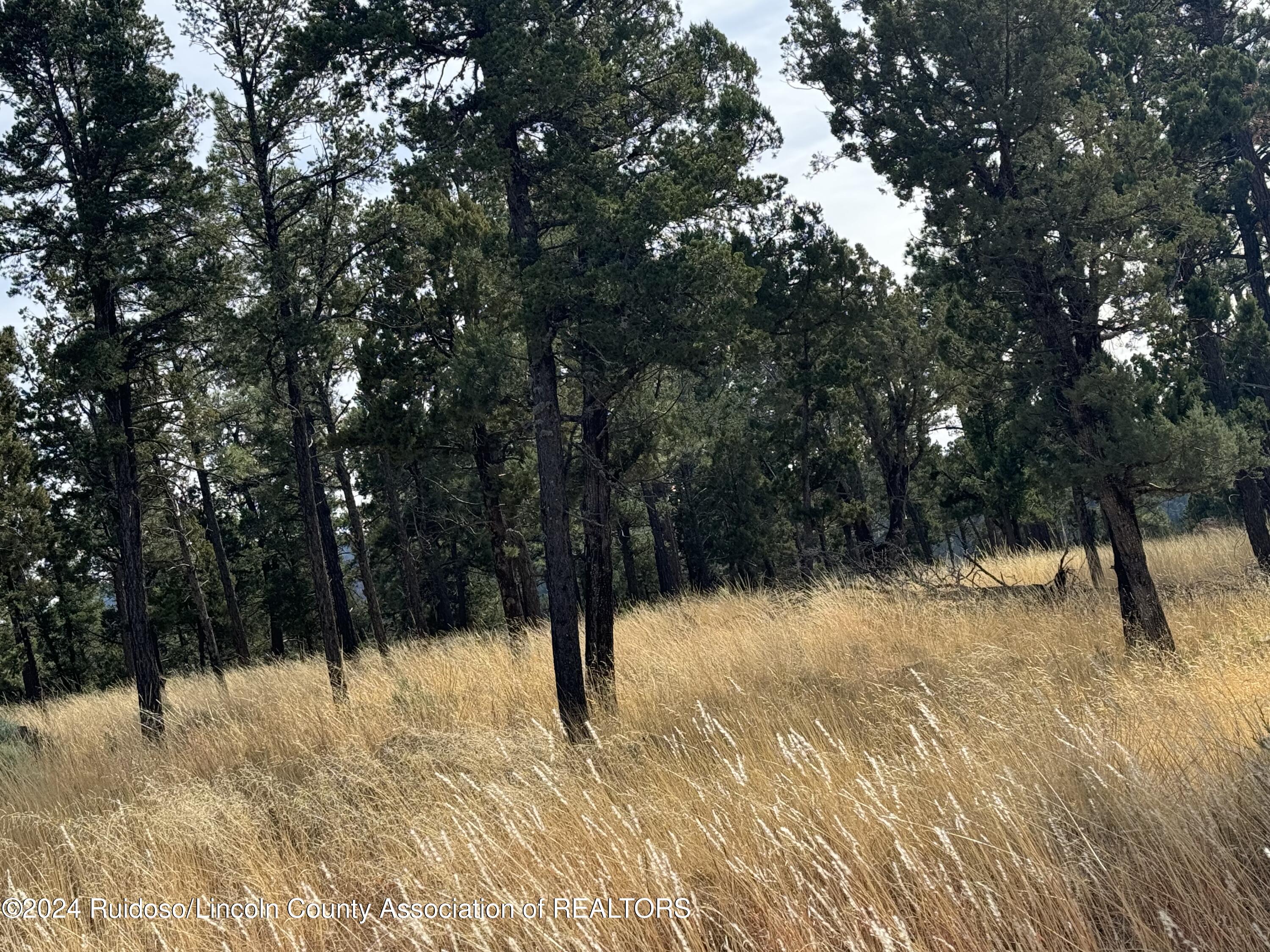 104 Merlyn Drive, Ruidoso, New Mexico image 21