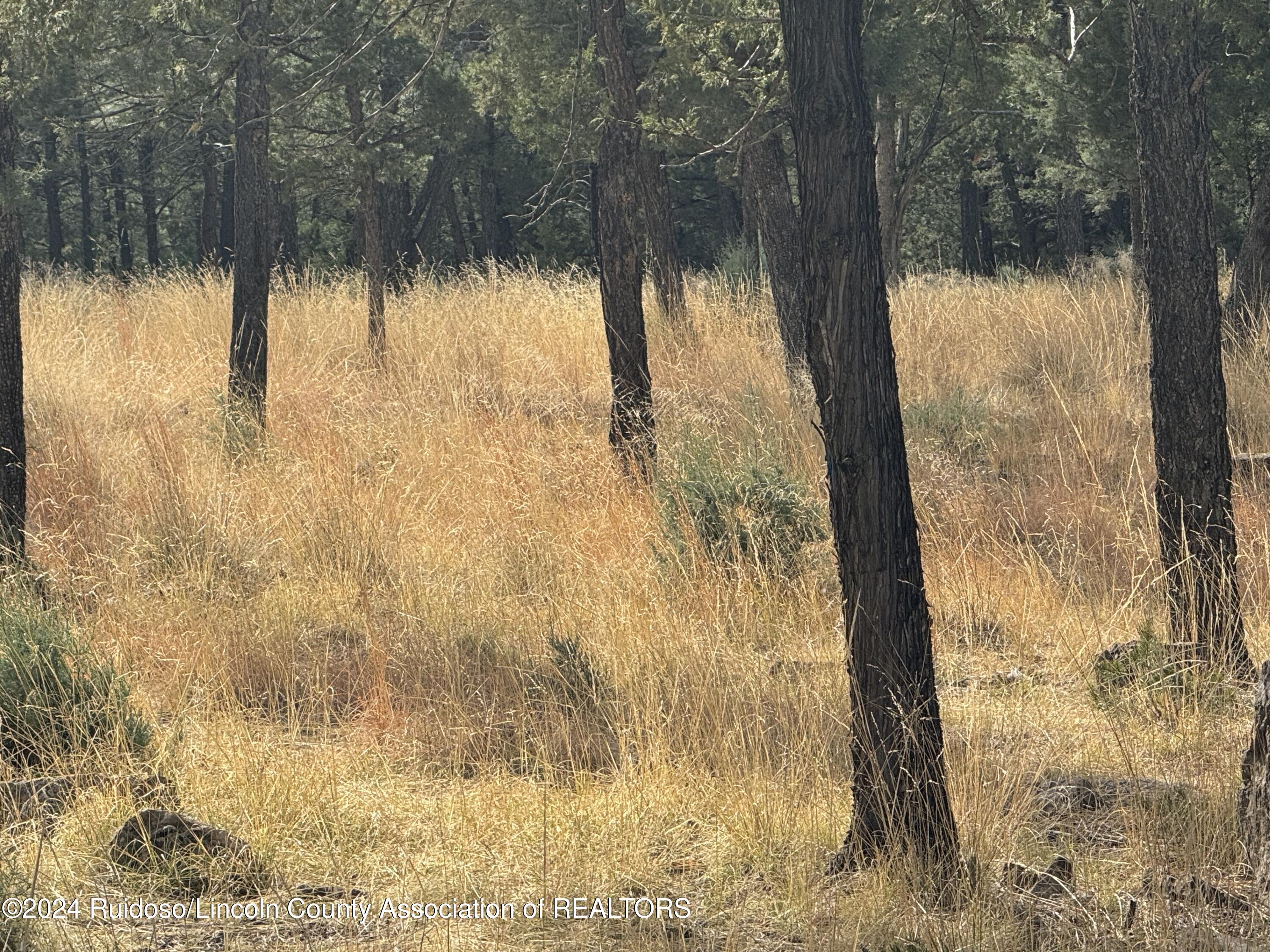 104 Merlyn Drive, Ruidoso, New Mexico image 11