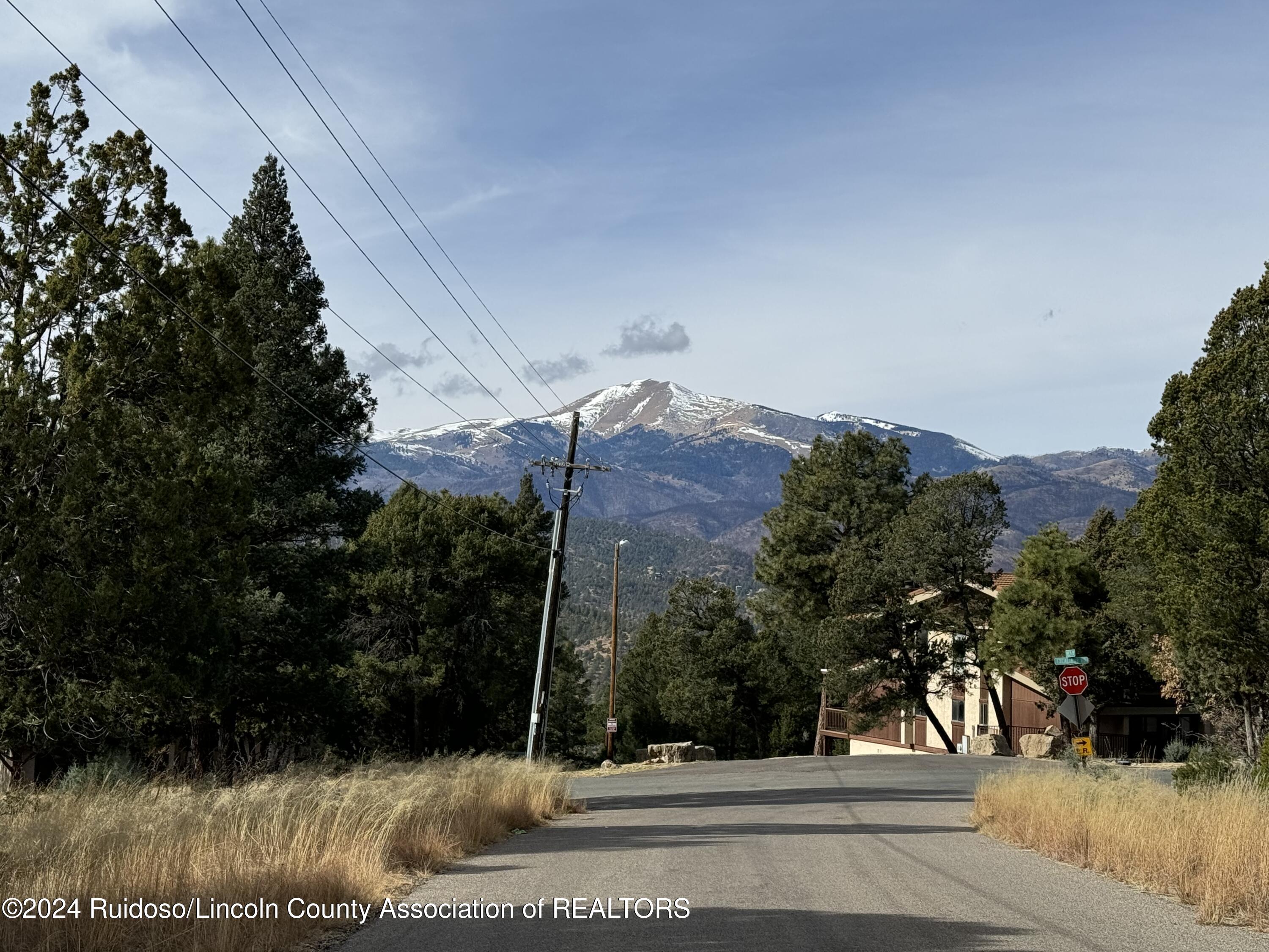 104 Merlyn Drive, Ruidoso, New Mexico image 18