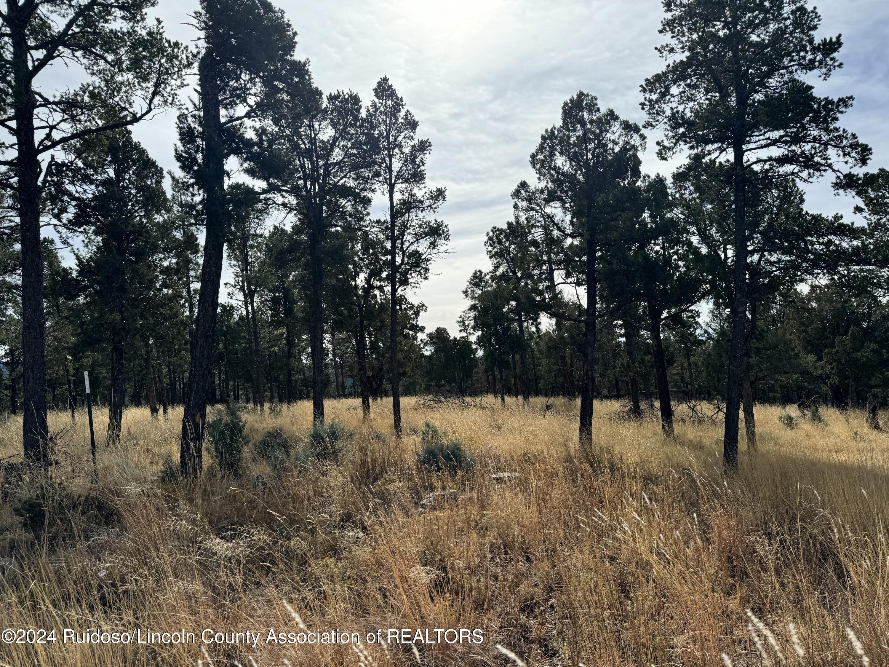 104 Merlyn Drive, Ruidoso, New Mexico image 4