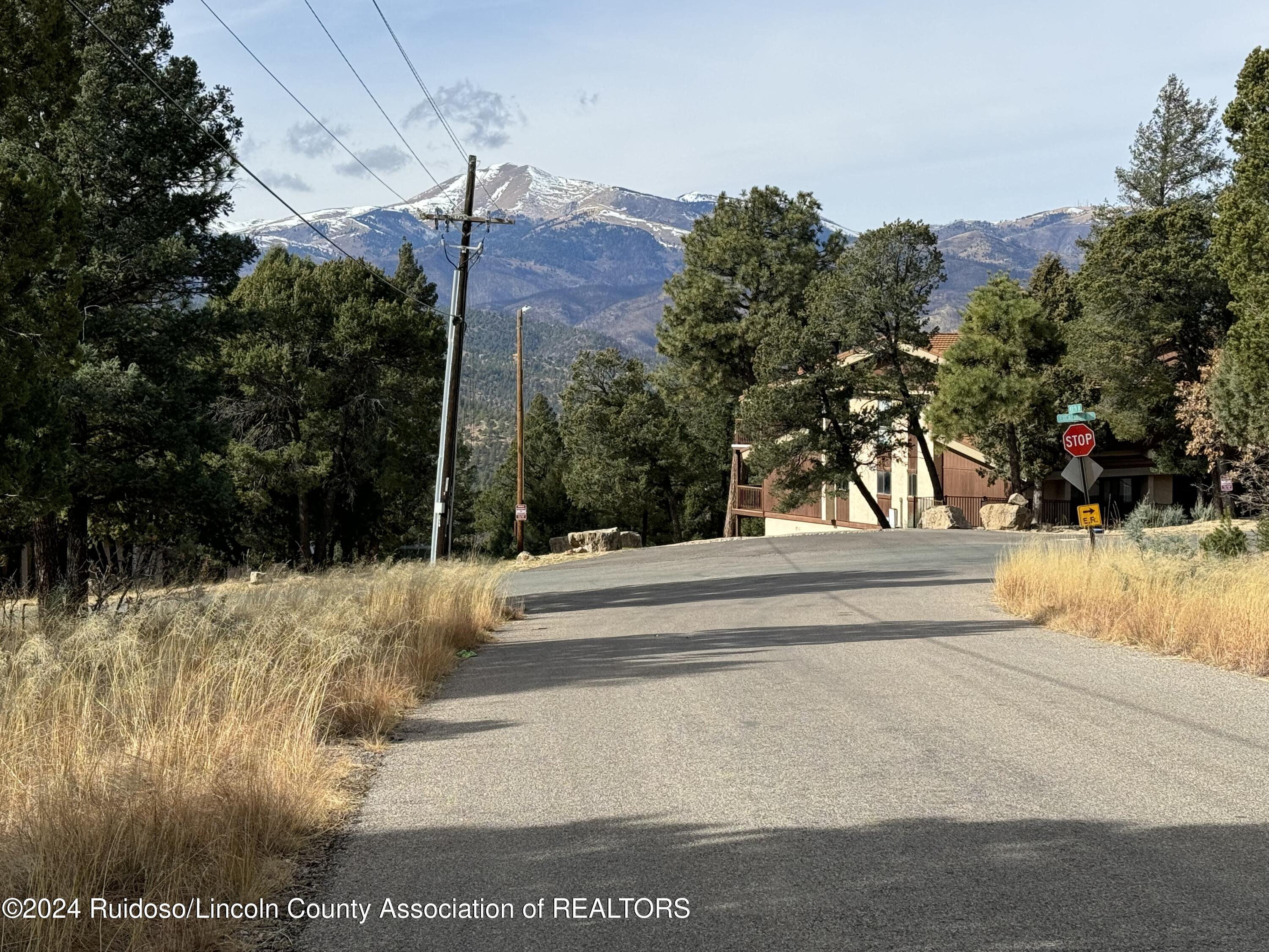 104 Merlyn Drive, Ruidoso, New Mexico image 13