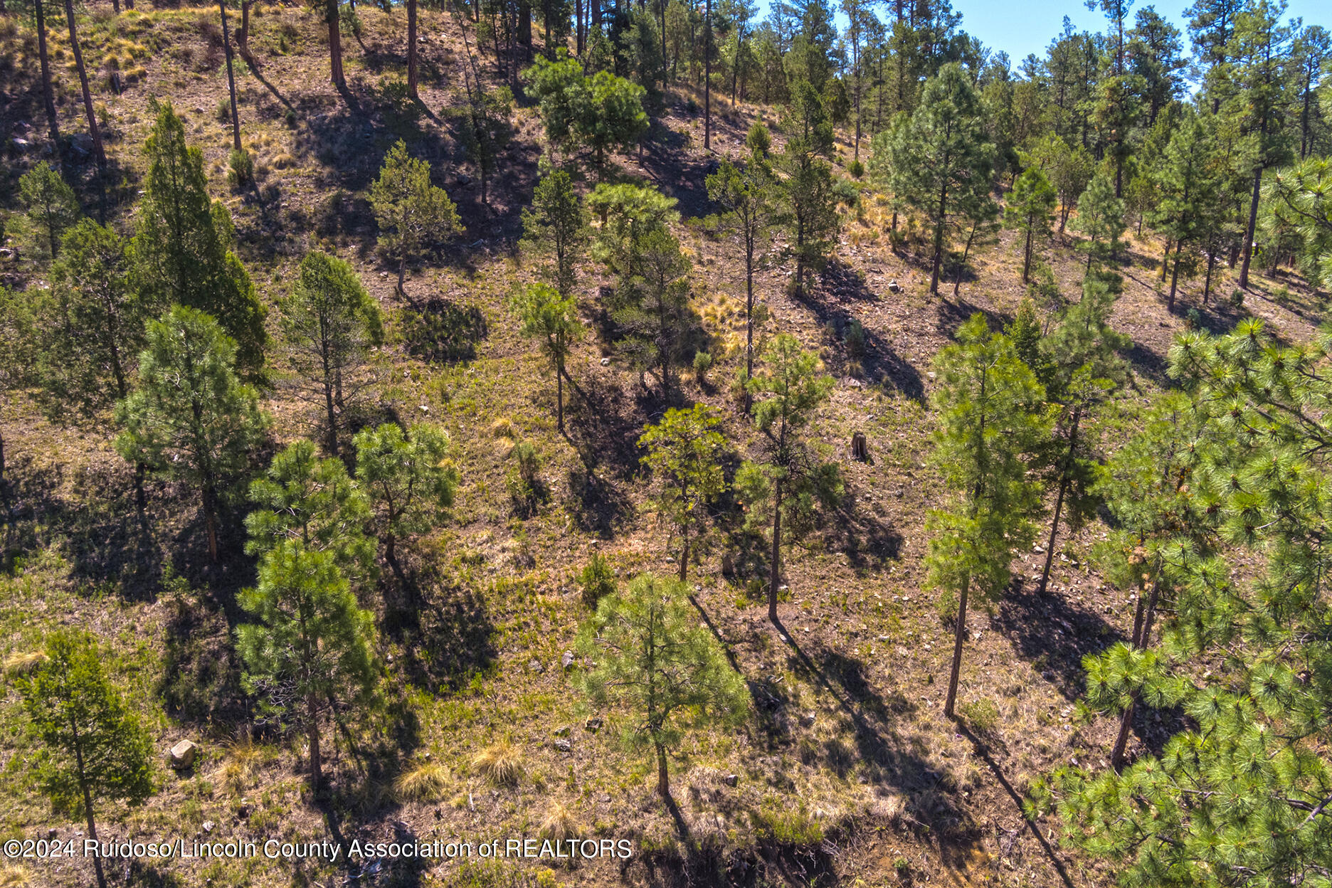 104 Embdy Road, Ruidoso, New Mexico image 12